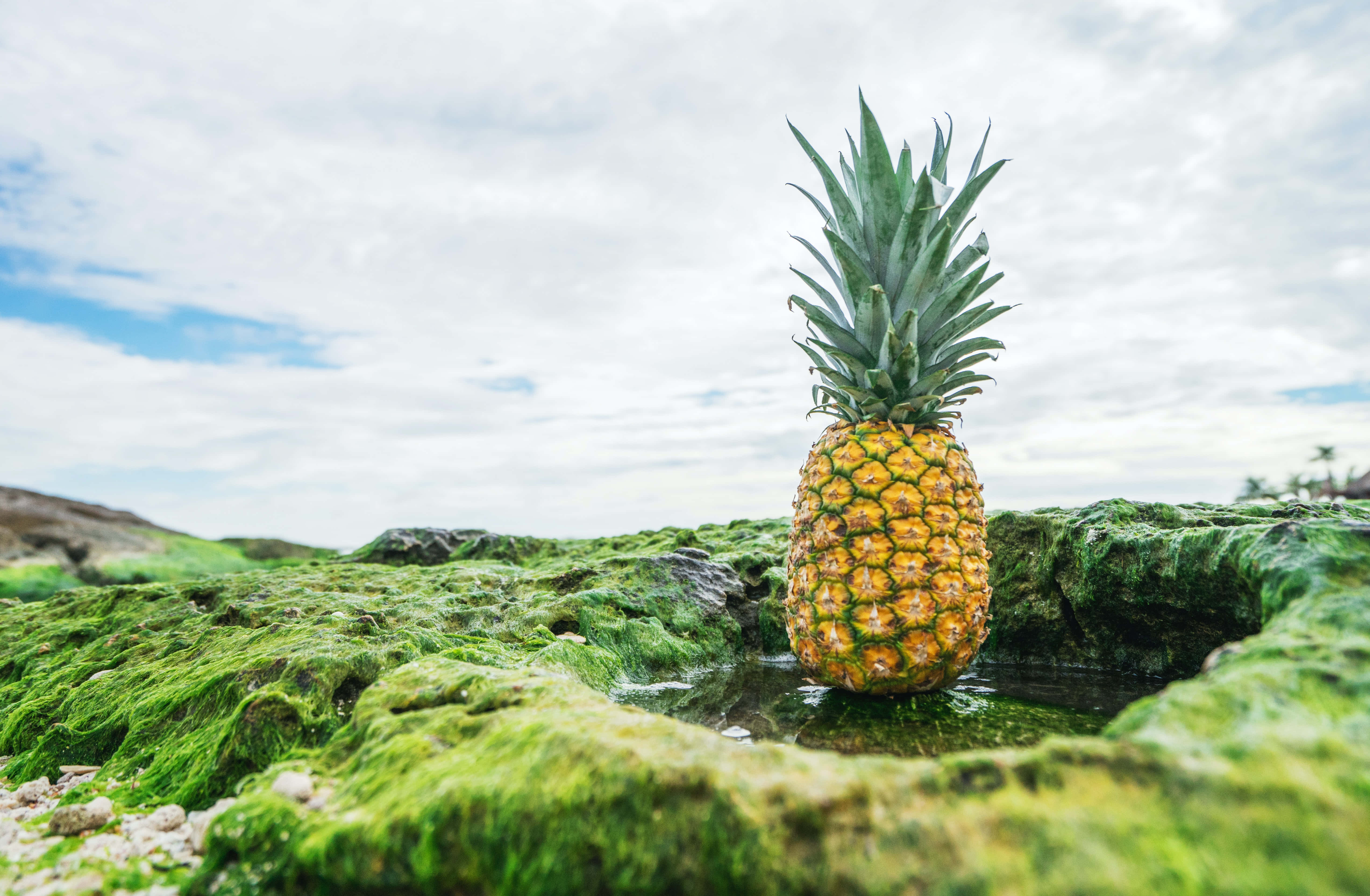 Bright colorful pineapple with leaves on pink background Picha ya Ukuta