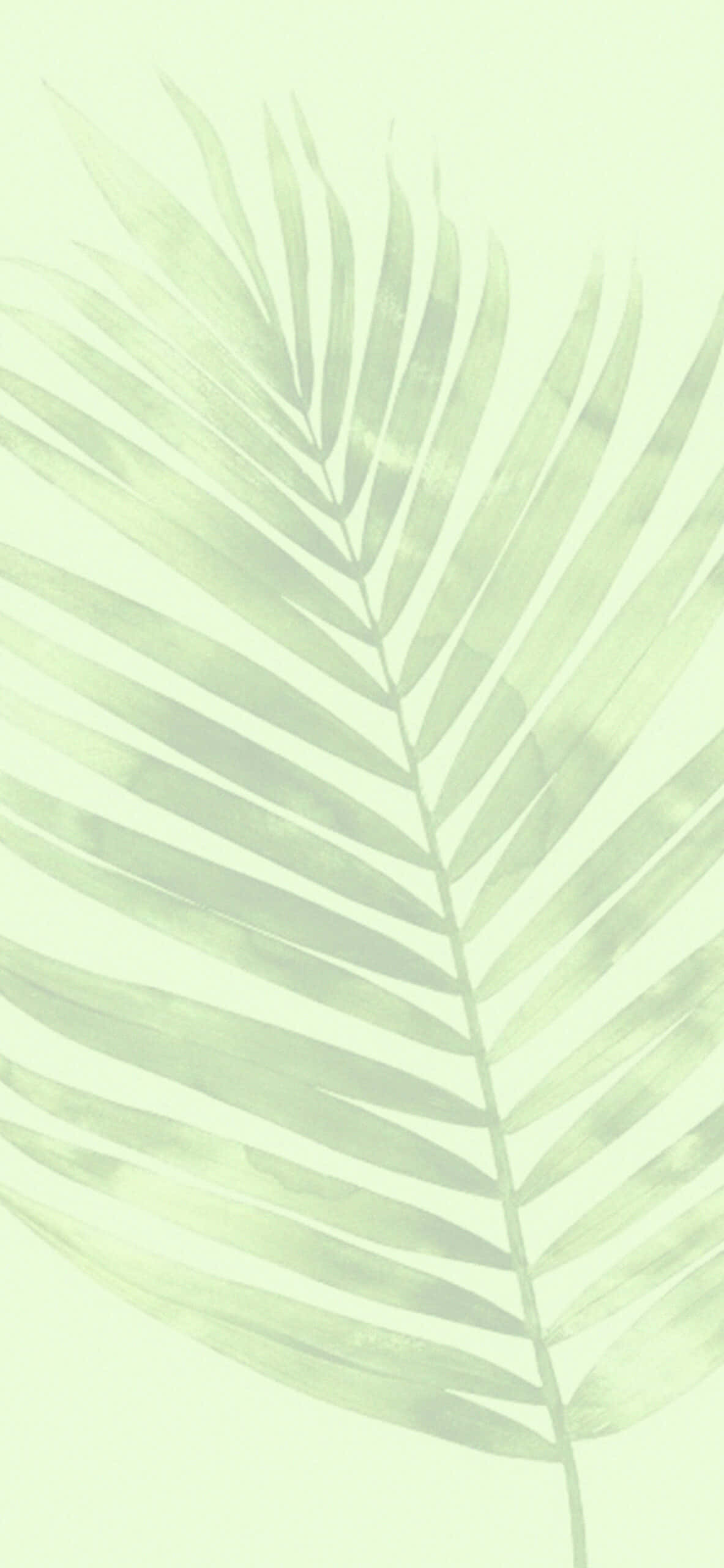 Bring a breath of fresh air to your space with green aesthetic. Picha ya Ukuta