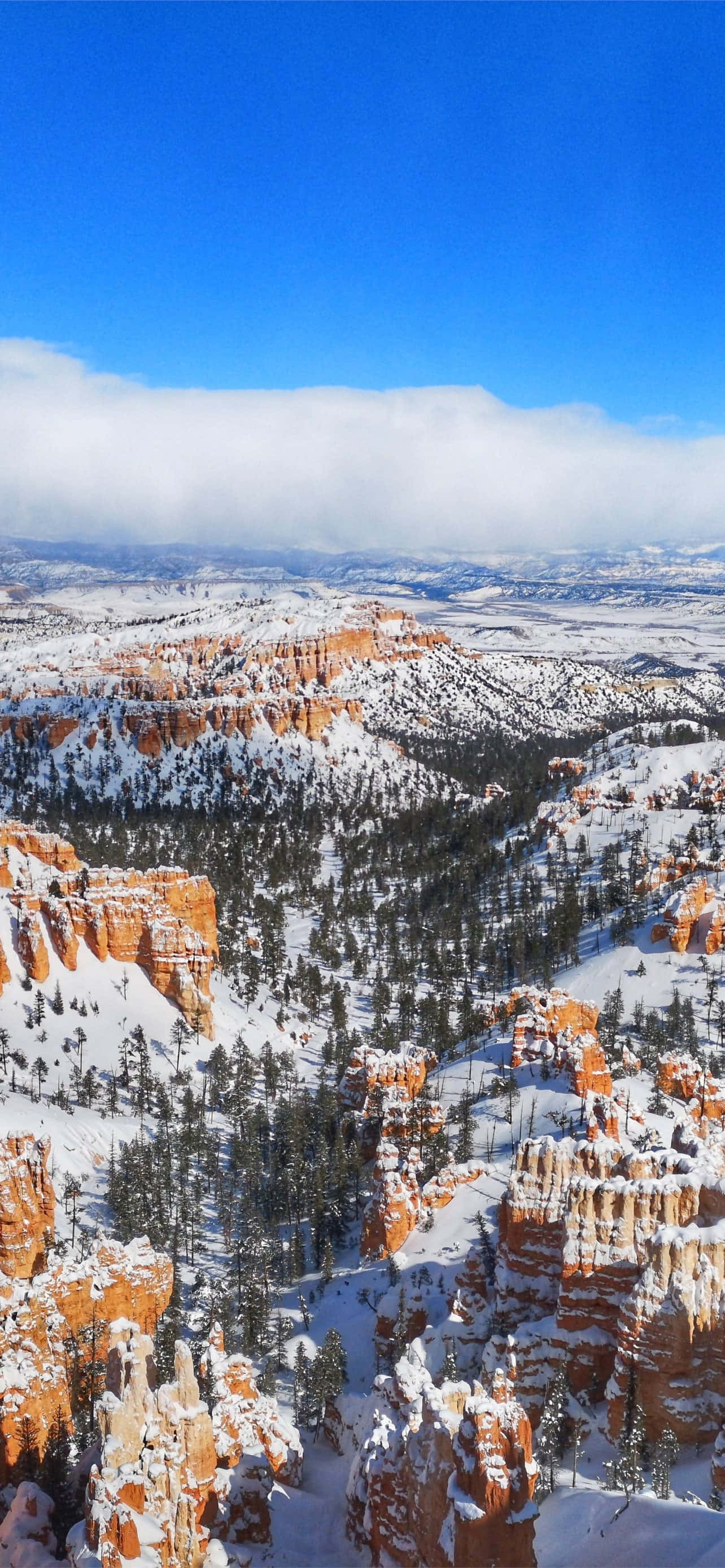 Bryce Canyon National Park Theluji ya Mwisho Picha ya Ukuta