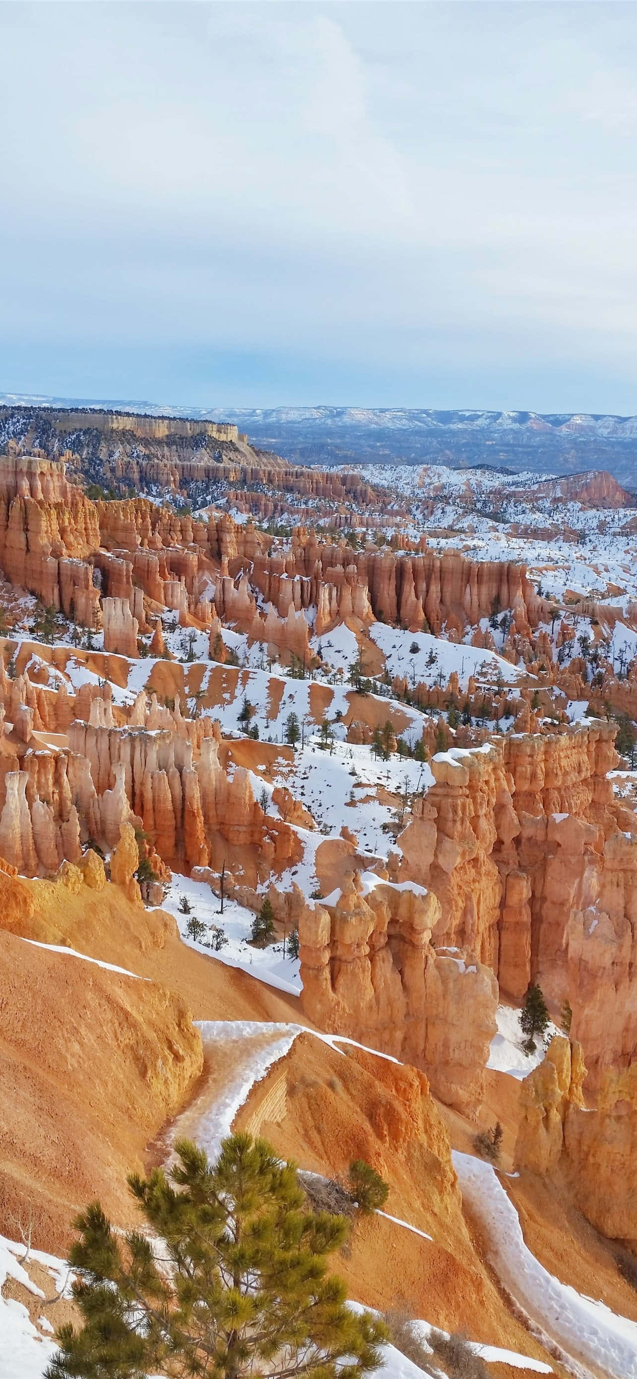 Bryce Canyon National Park Snow Shower Picha ya Ukuta