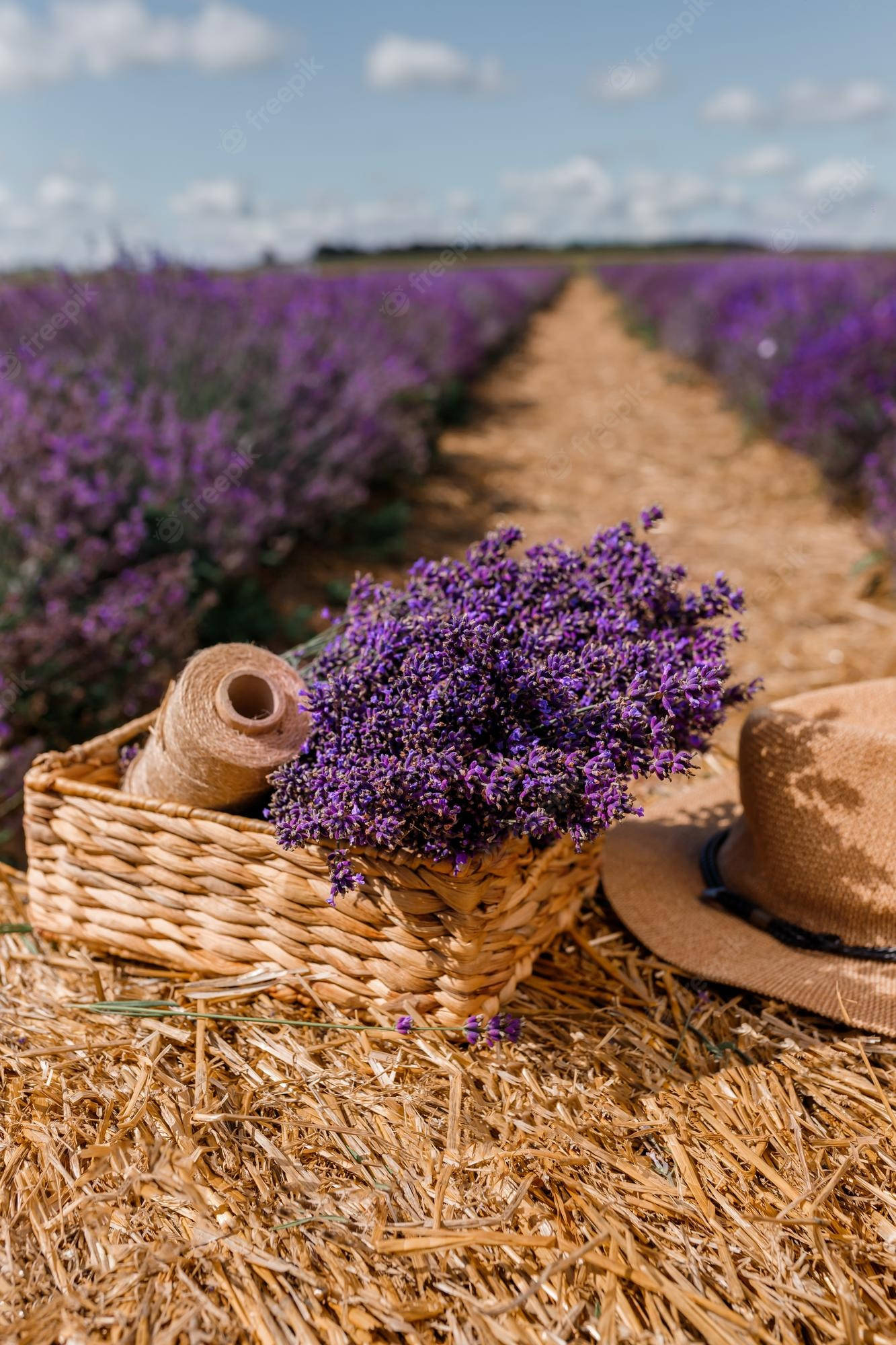 Buds za Maua ya Lavender na Kamba Picha ya Ukuta