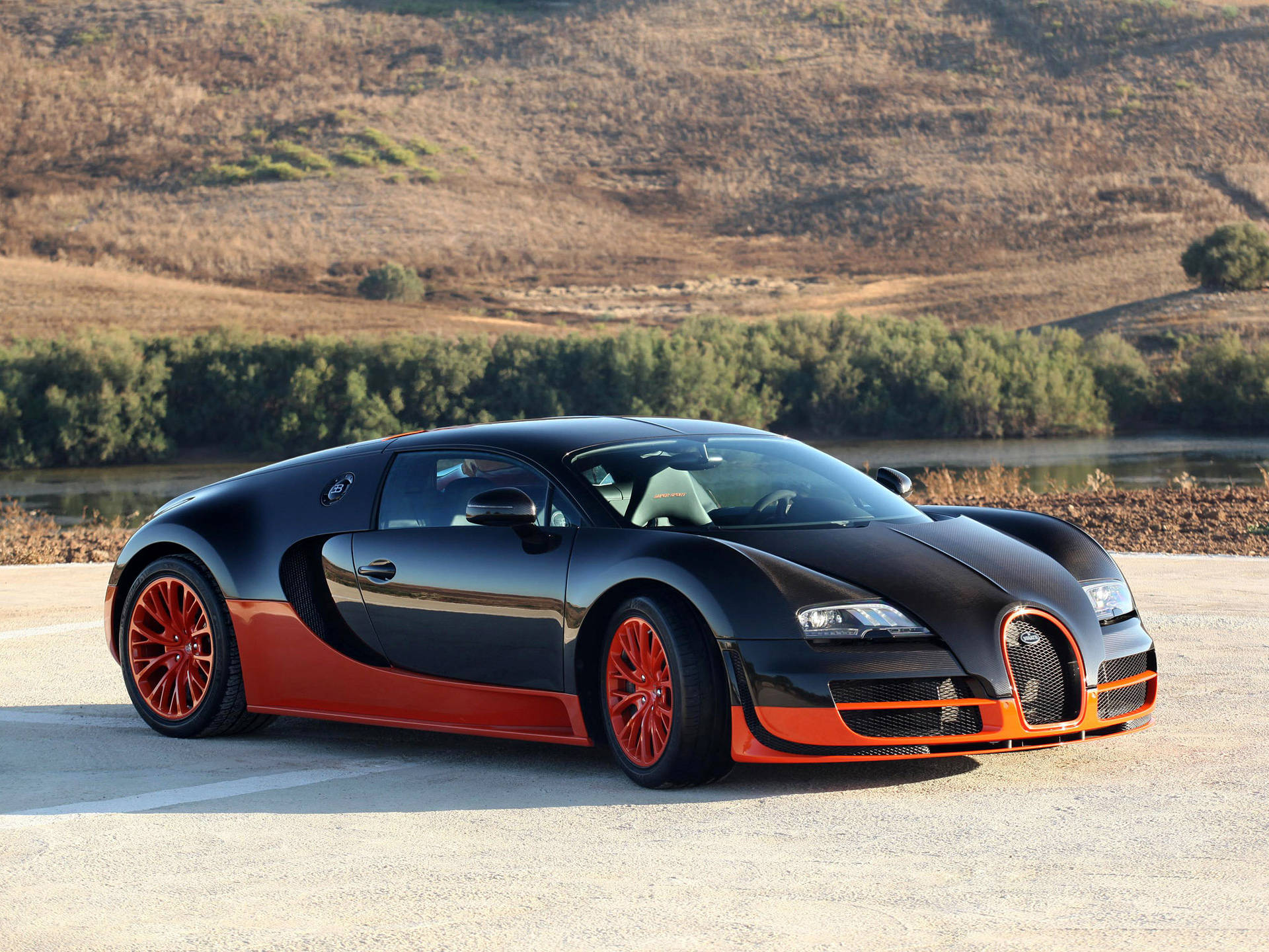 Bugatti Veyron Imeegeshwa Nje Picha ya Ukuta