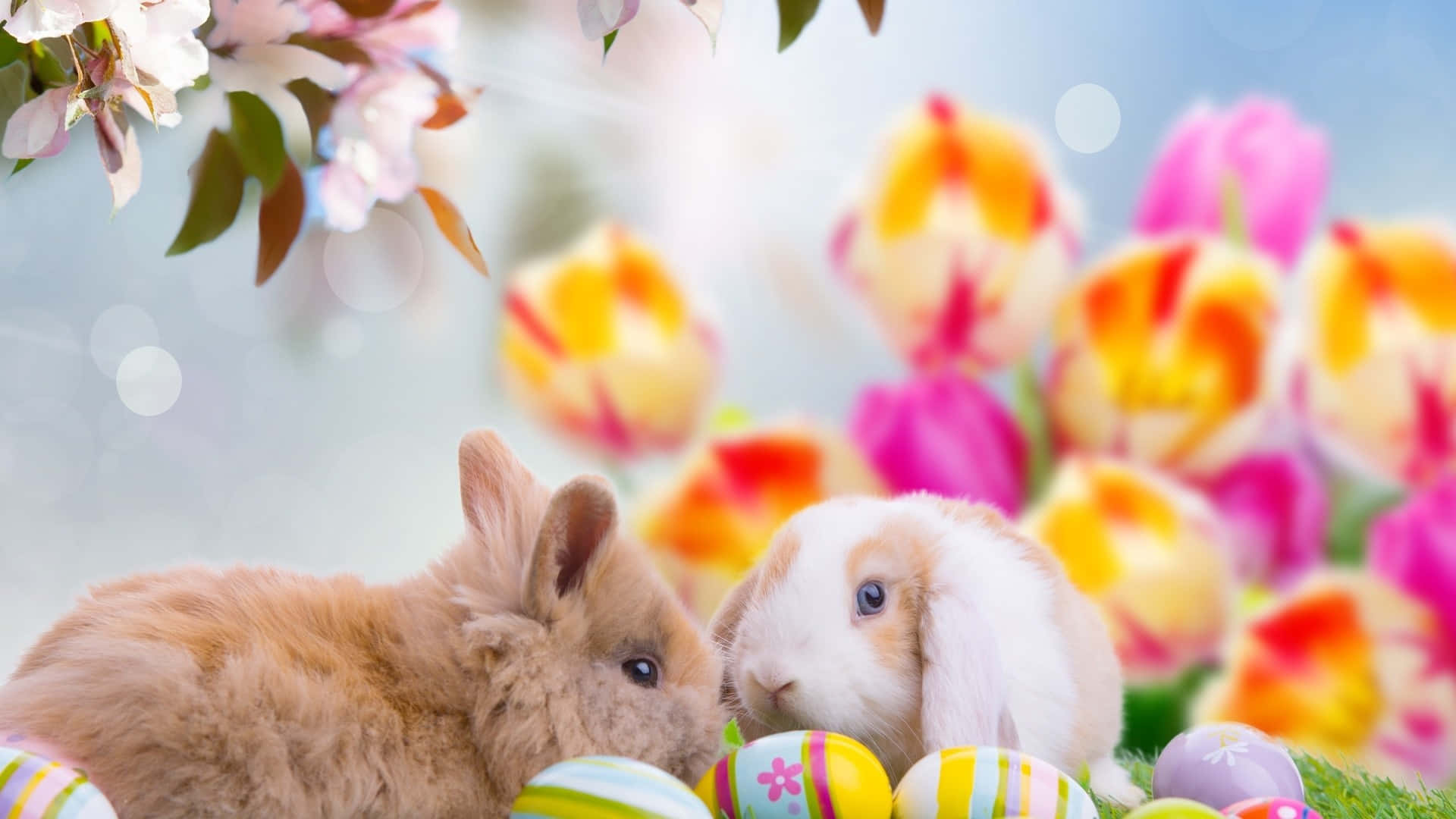 Bunnies za Paskia na Mazinga ya Rangi kwenye Mandhari ya Bahari ya Spring Picha ya Ukuta