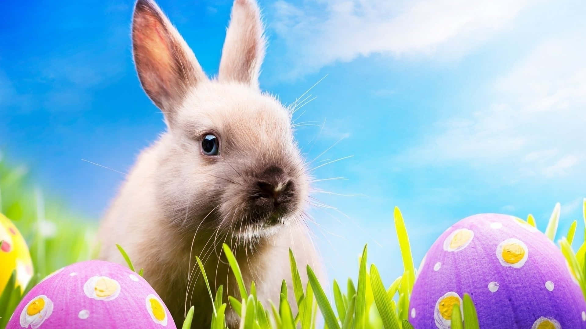 Bunny wa Pasken Mwenyezi na Mwanga wa Rangi kwenye Mandhari ya Sherehe Picha ya Ukuta