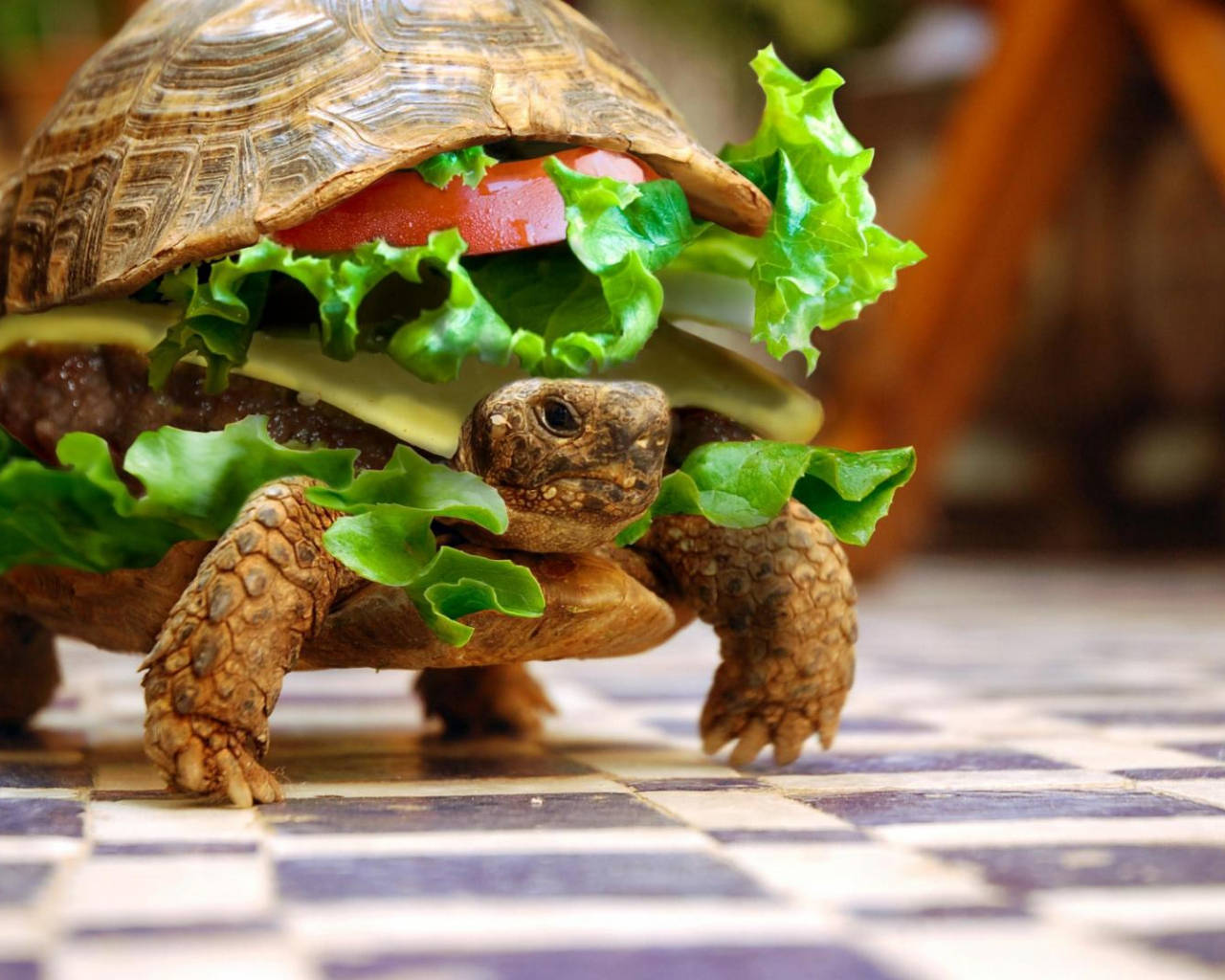 Burger ya Kobe Baridi Picha ya Ukuta