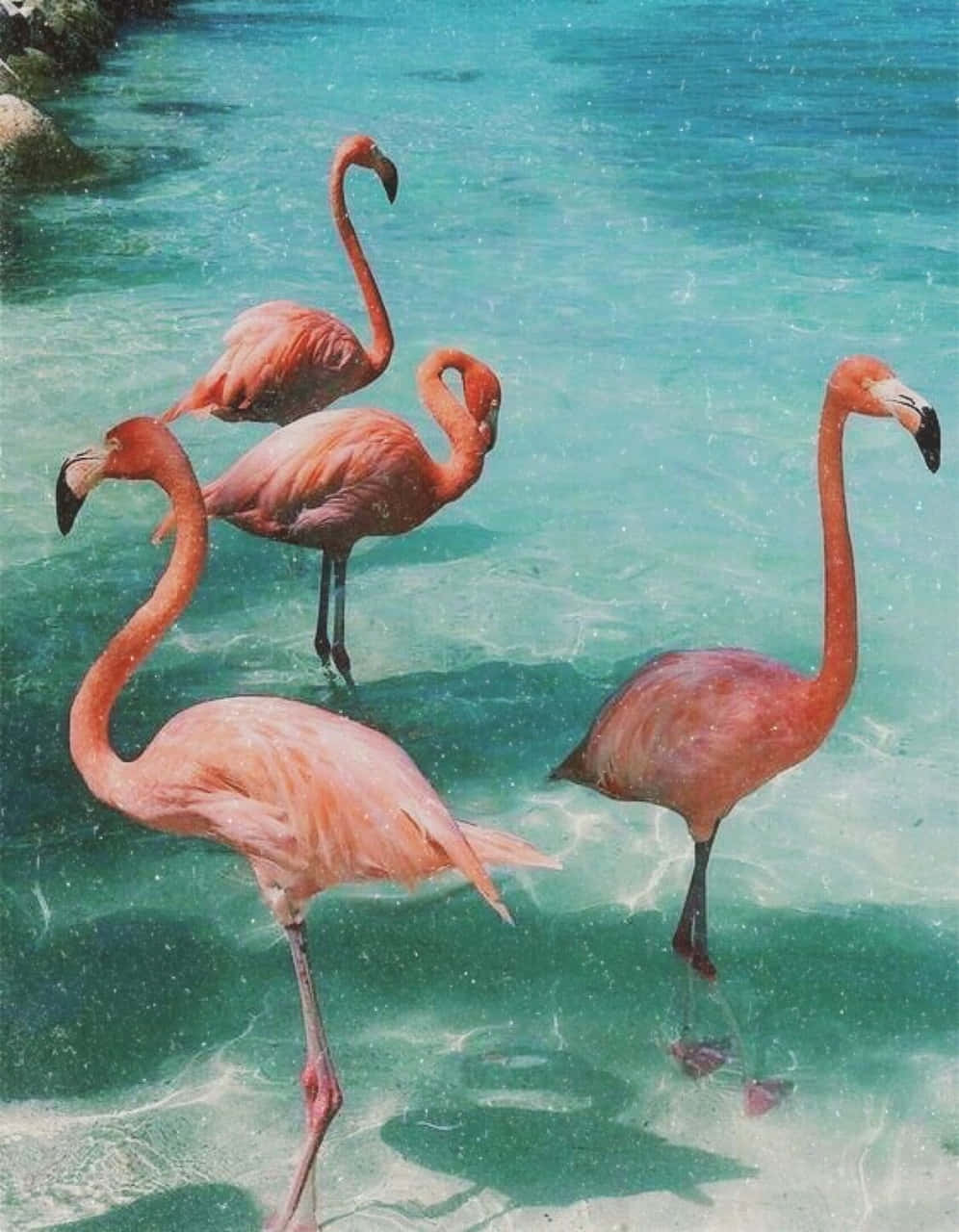 Burudisha roho yako na mandhari ya ajabu ya kiangazi. Picha ya Ukuta
