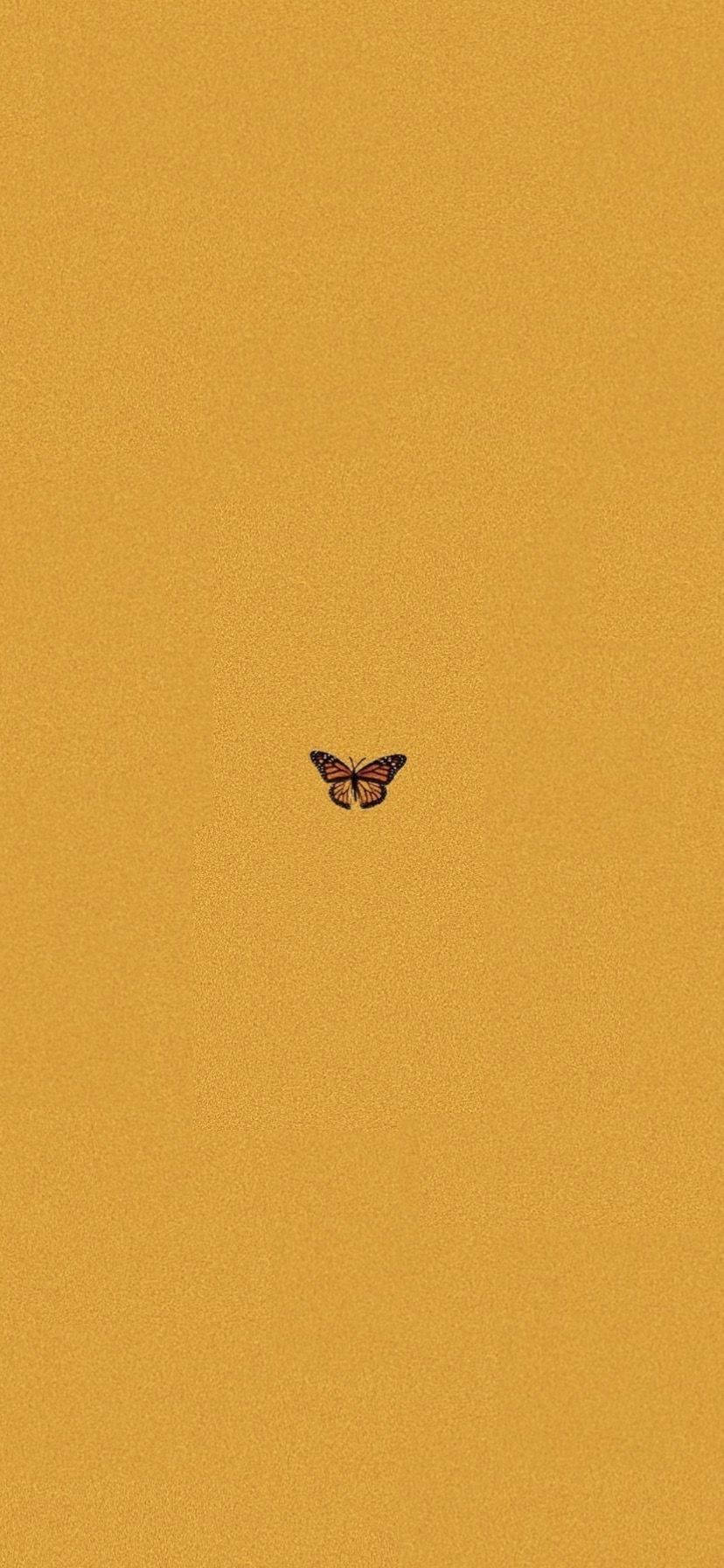 Butterfly Aesthetic Yellow Mustard Picha ya Ukuta
