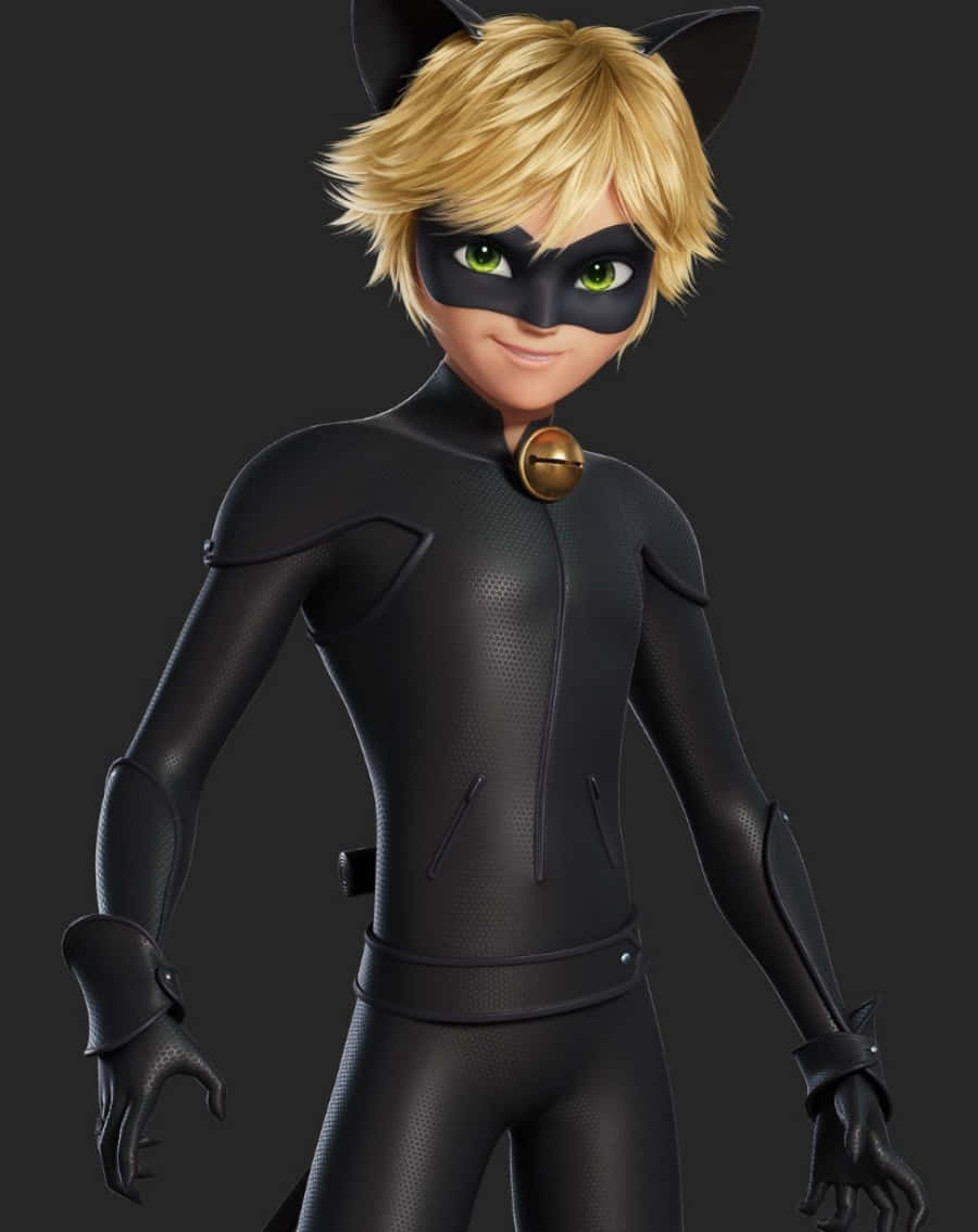 Cat Noir akitembea mjini Picha ya Ukuta