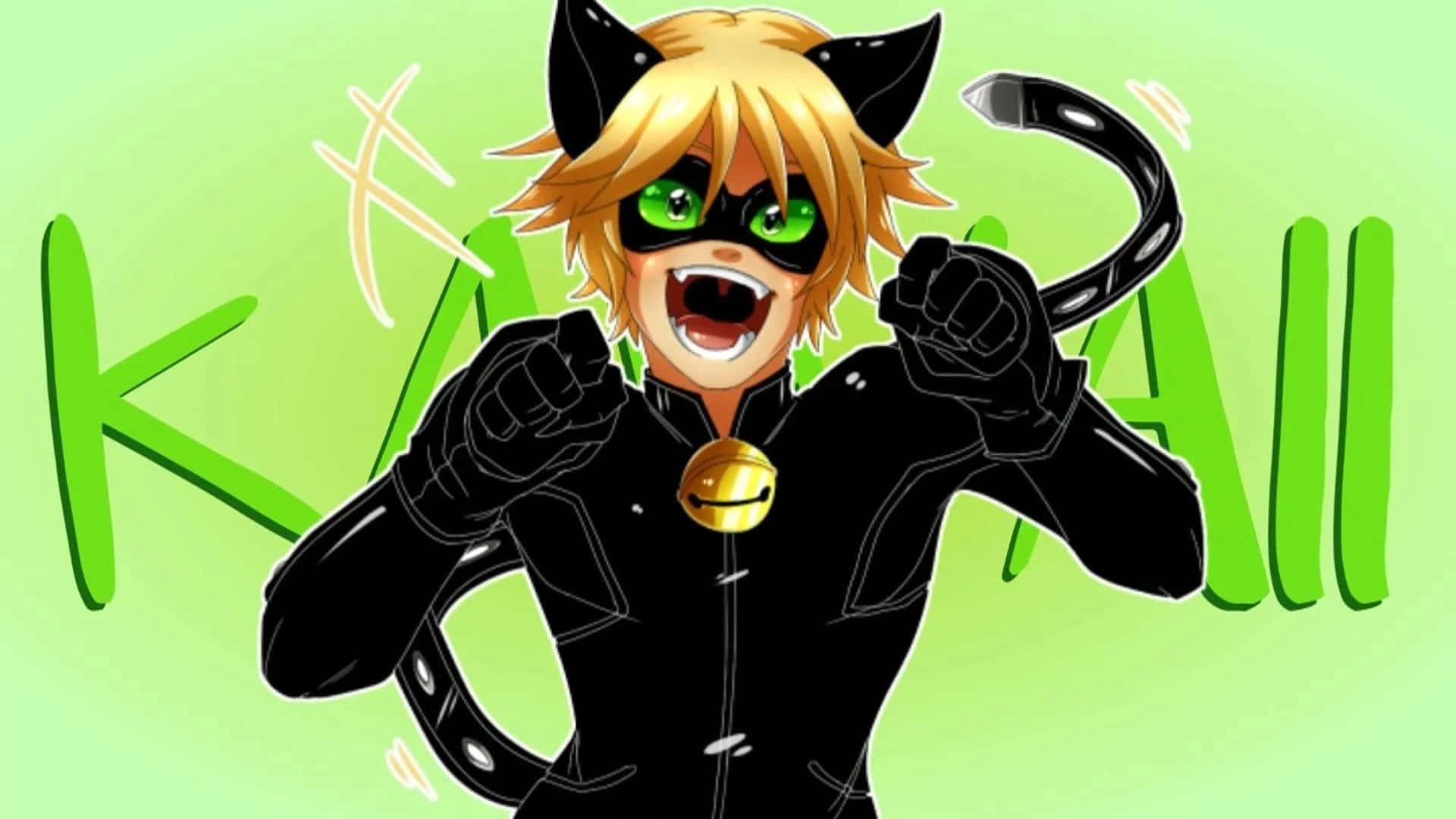 "Cat Noir Anazunguka Wilaya Yake" Picha ya Ukuta