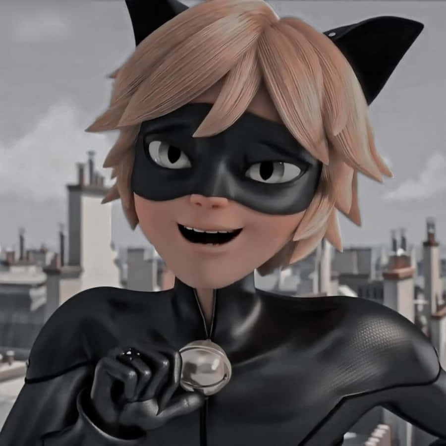 Cat Noir, Mlinzi wa Paris Picha ya Ukuta