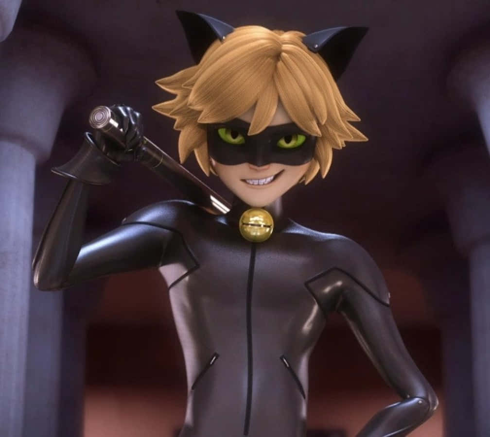 "Cat Noir Yupo Hapa Kuokoa Siku!" Picha ya Ukuta