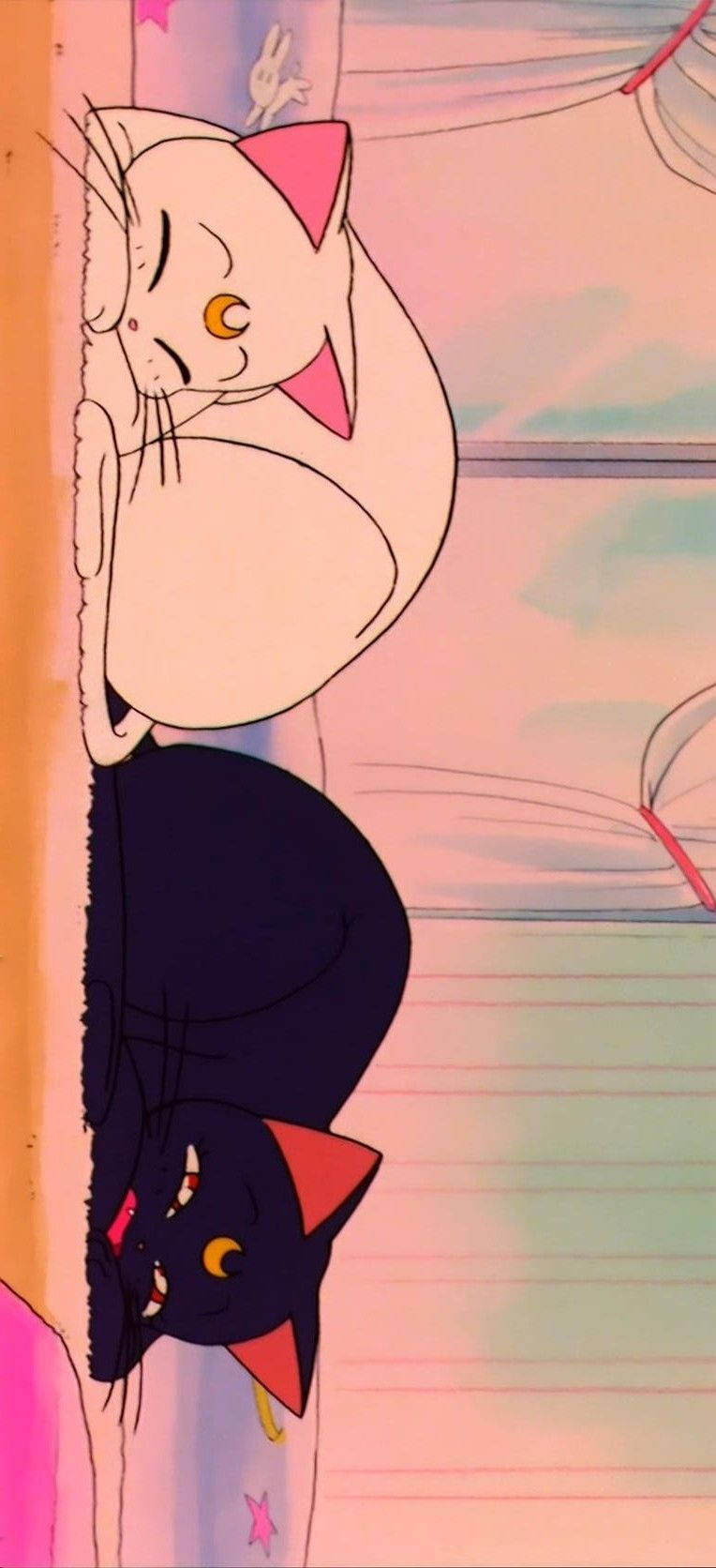 Cats Soft Aesthetic Picha ya Ukuta