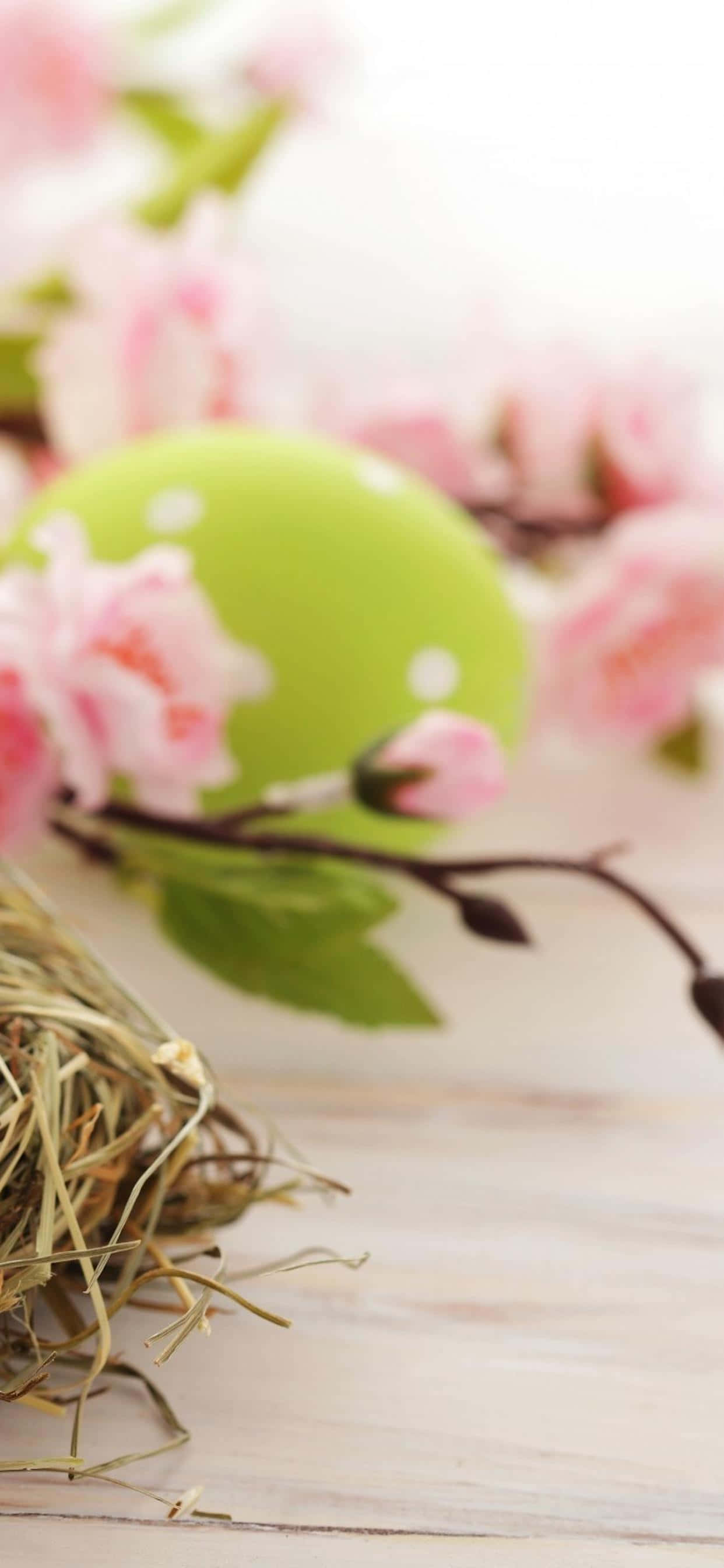 Celebrate Easter with a Cute Bunny iPhone Cover Picha ya Ukuta