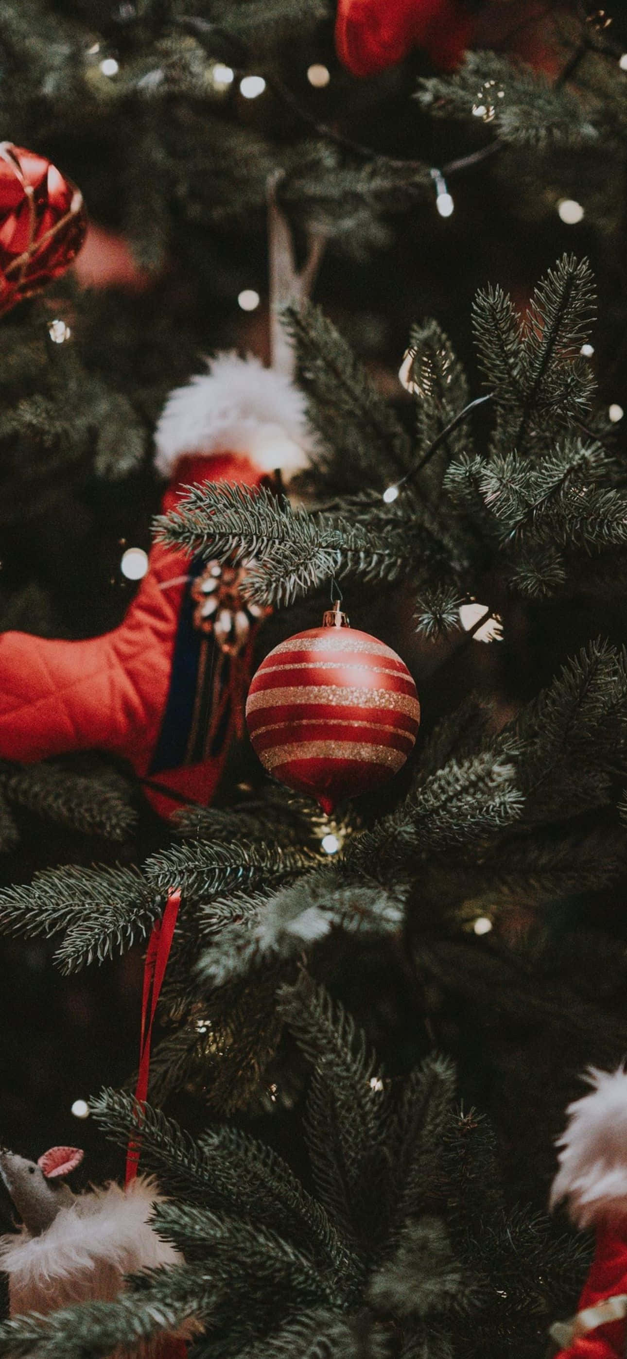 Celebrate this Christmas season with this beautiful and festive iPhone background. Picha ya Ukuta