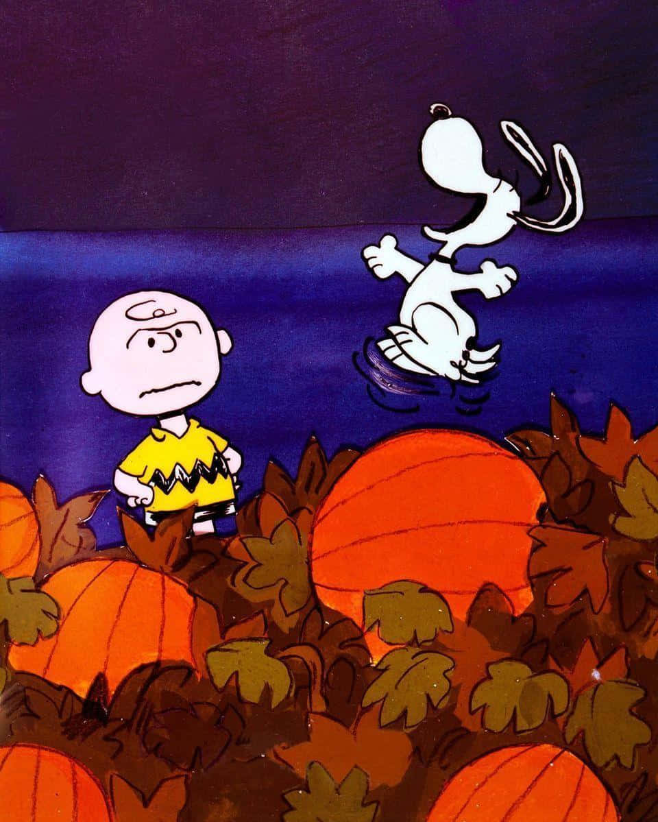 charlie brown na peanuts katika shamba la pumbukini Picha ya Ukuta