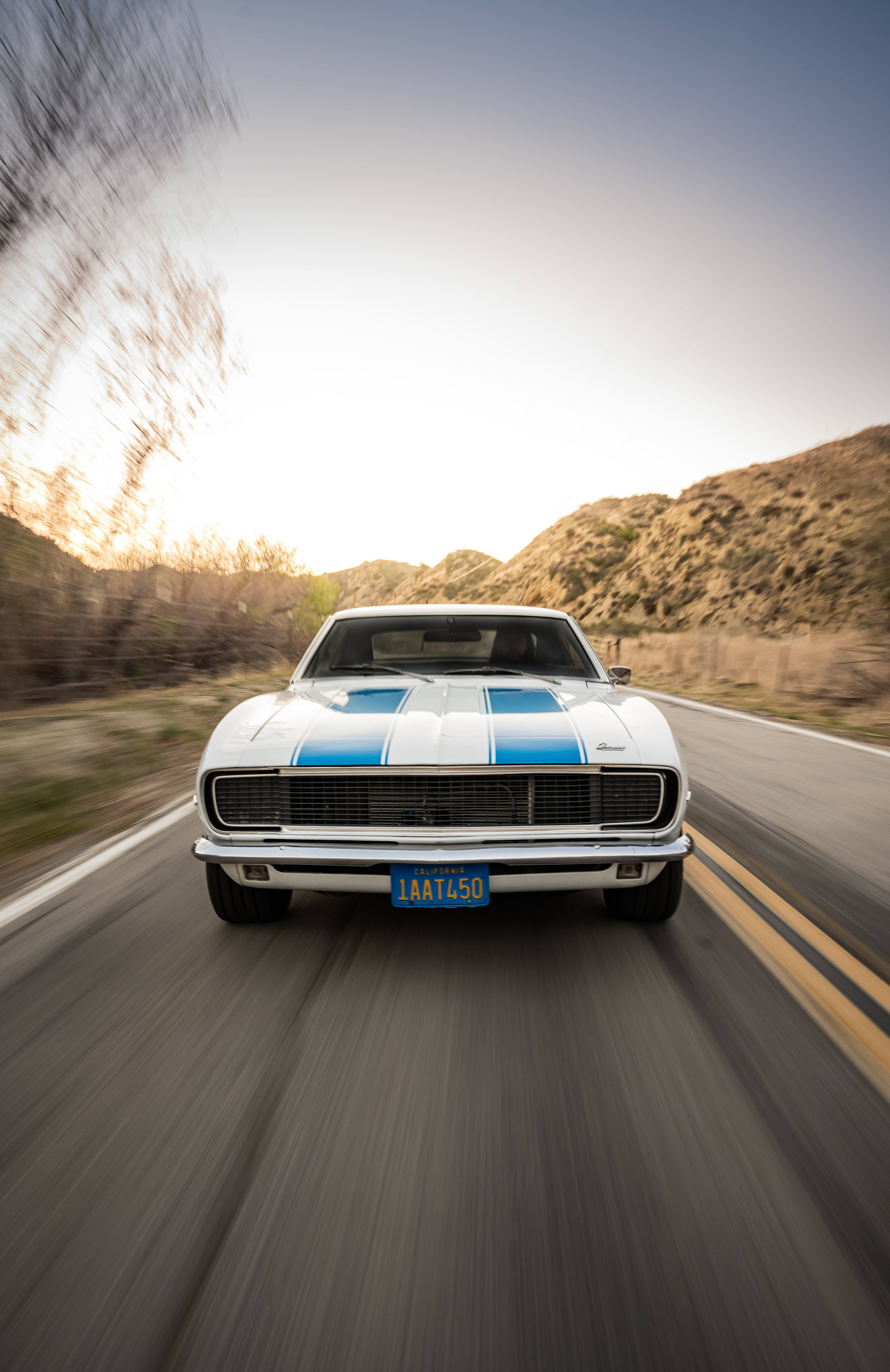 Chevrolet Chevelle Mweupe Picha ya Ukuta