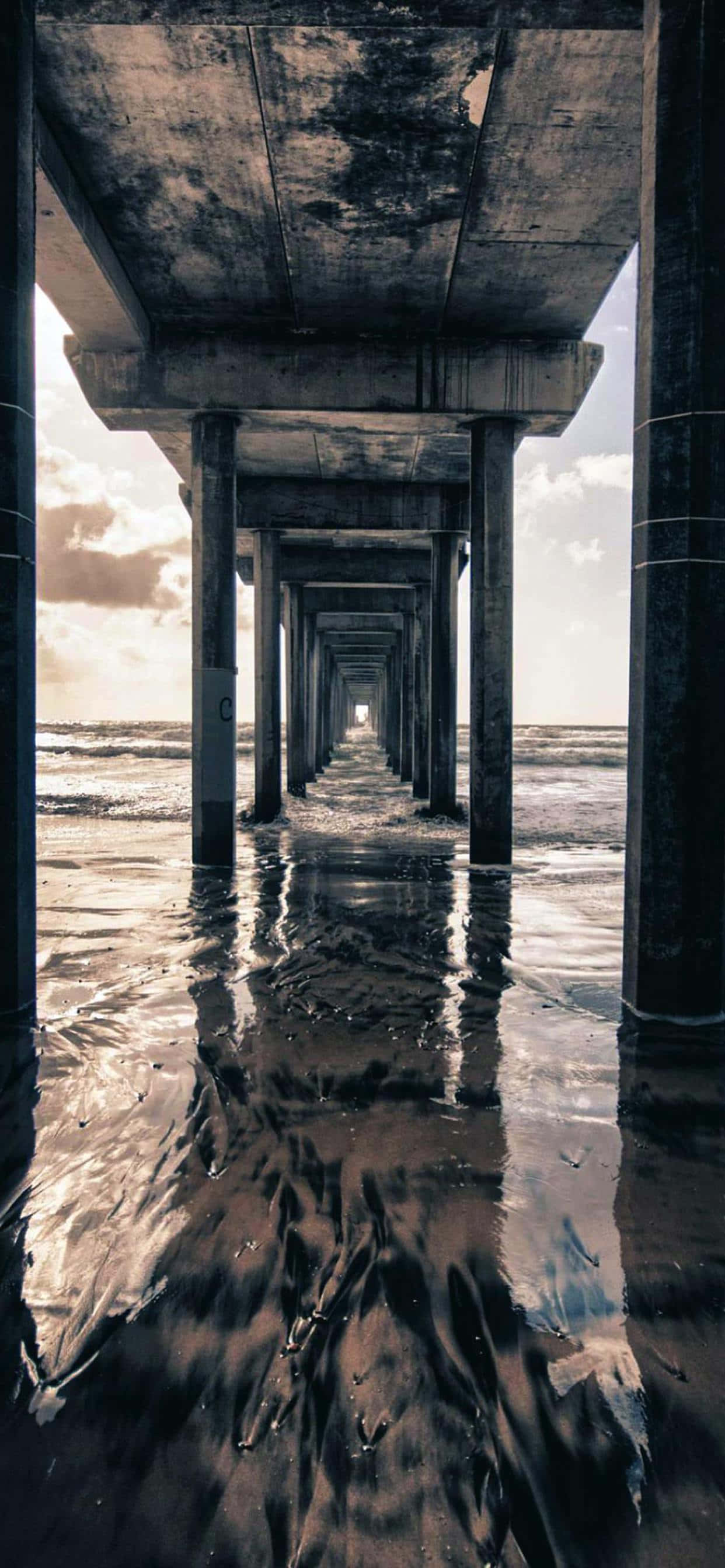 Contemporary Underneath Dock Picha ya Ukuta