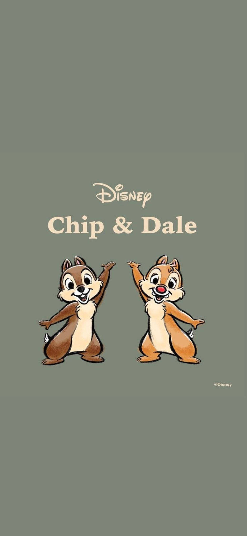 Chip N Dale On Gray Backdrop Picha ya Ukuta