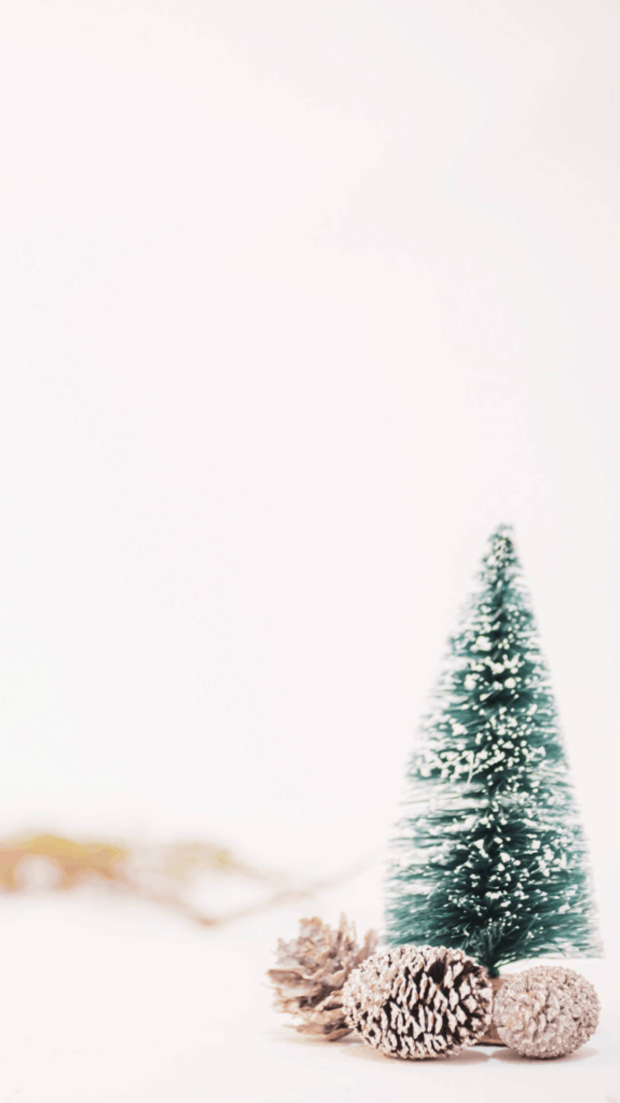 Christmas Aesthetic Pine Tree Cones Picha ya Ukuta