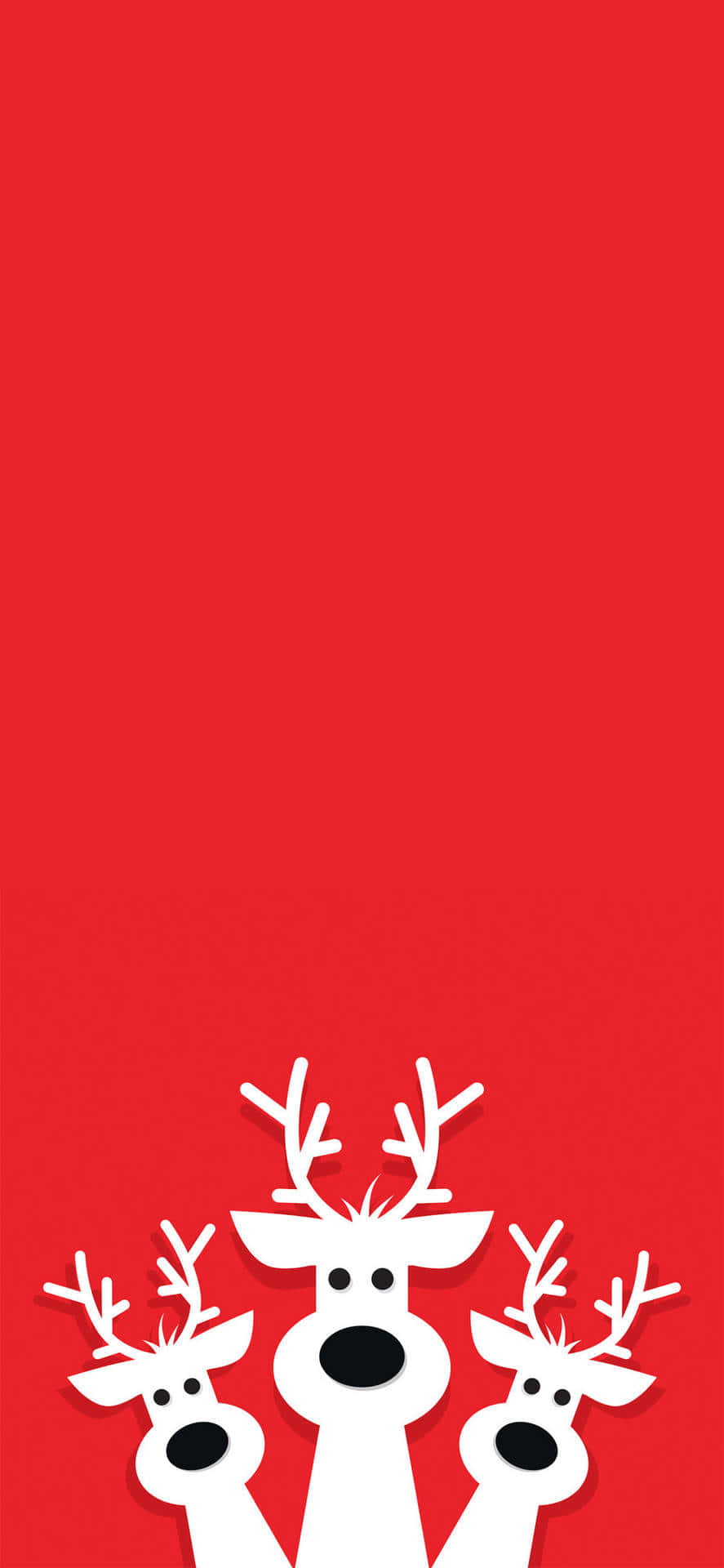 christmas reindeer on red background Picha ya Ukuta