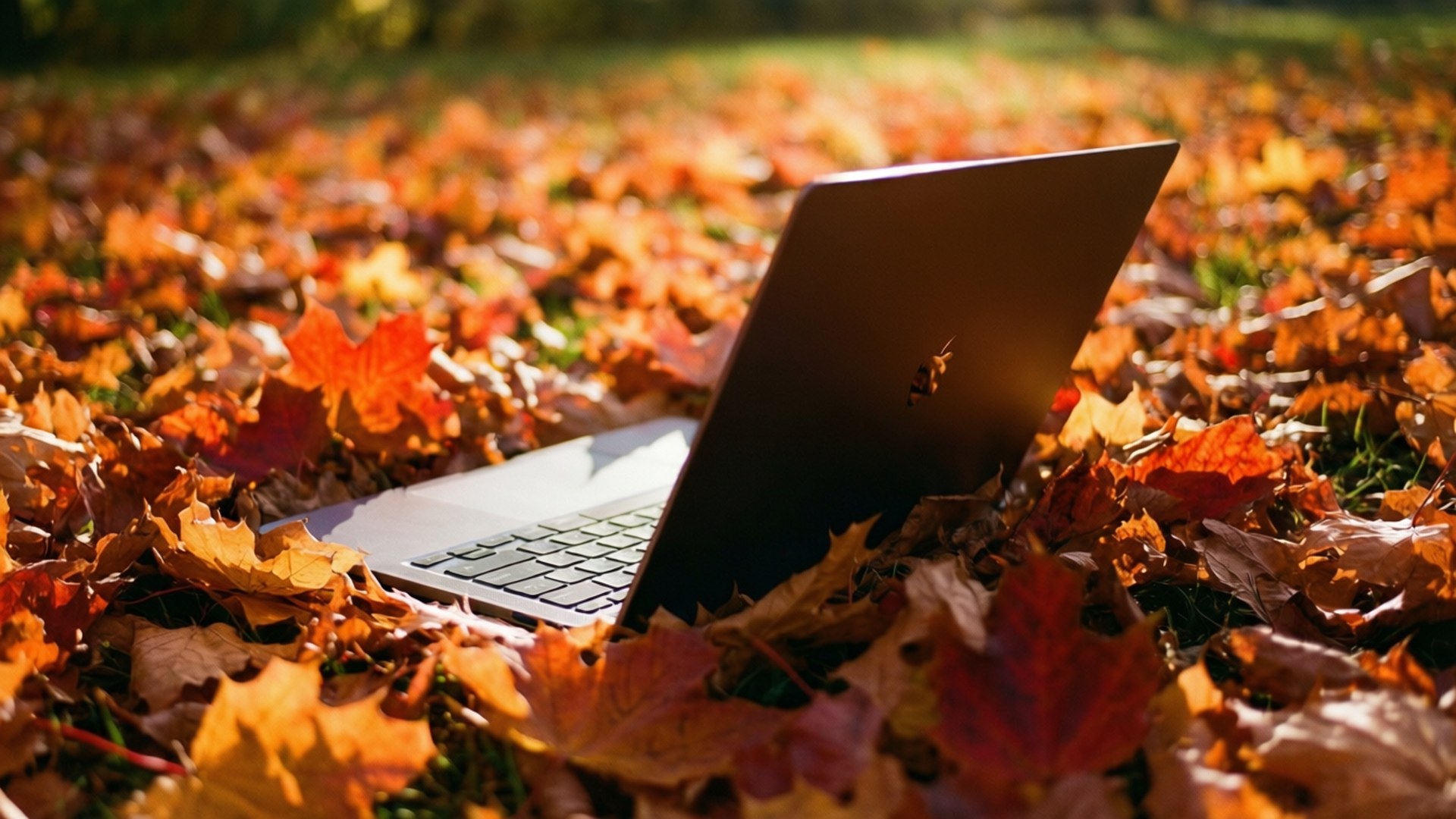 Chromebook ya Vuli Inayofariji Picha ya Ukuta