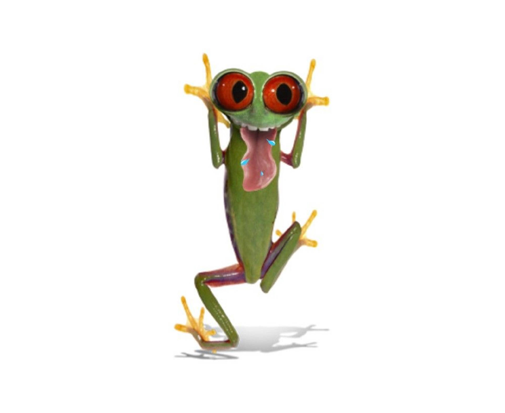 Chura wa Kawaii Mwenye Uso wa Kukasirisha Picha ya Ukuta