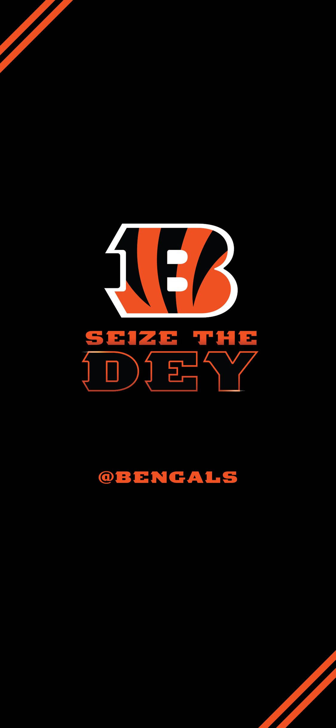 Cincinnati Bengals Seize The Dey Picha ya Ukuta