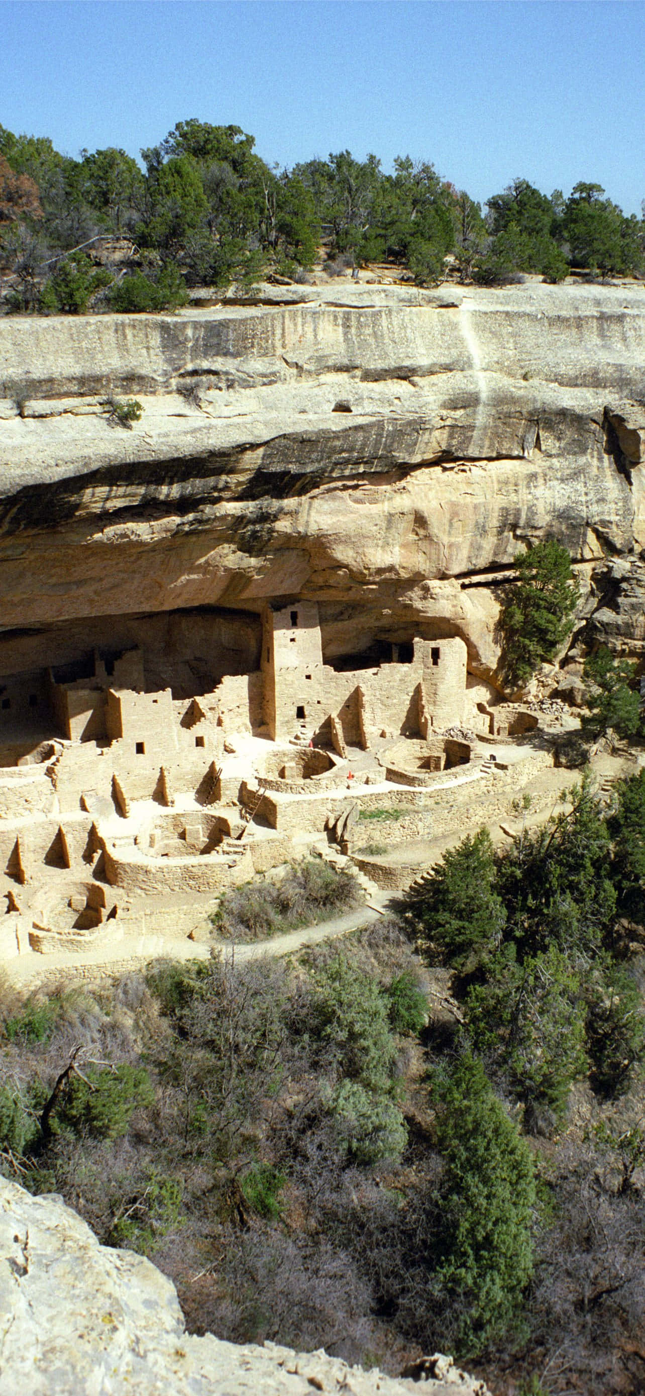 Cliff Palace Rangi ya Tan Mesa Verde National Park Picha ya Ukuta