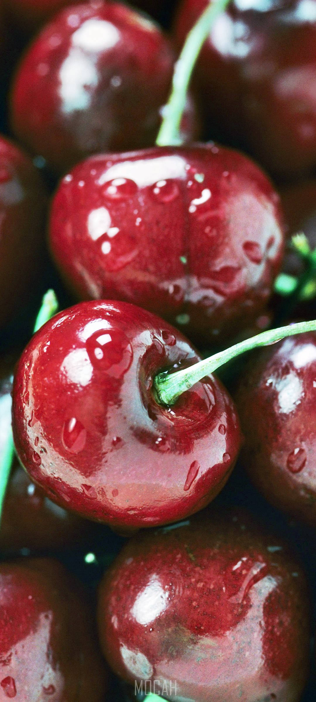 Close-up Shot Cranberry Picha ya Ukuta