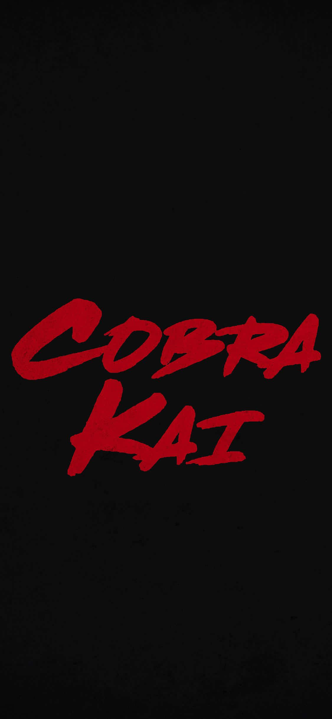 Cobra Kai iPhone Xr Title Background Picha ya Ukuta