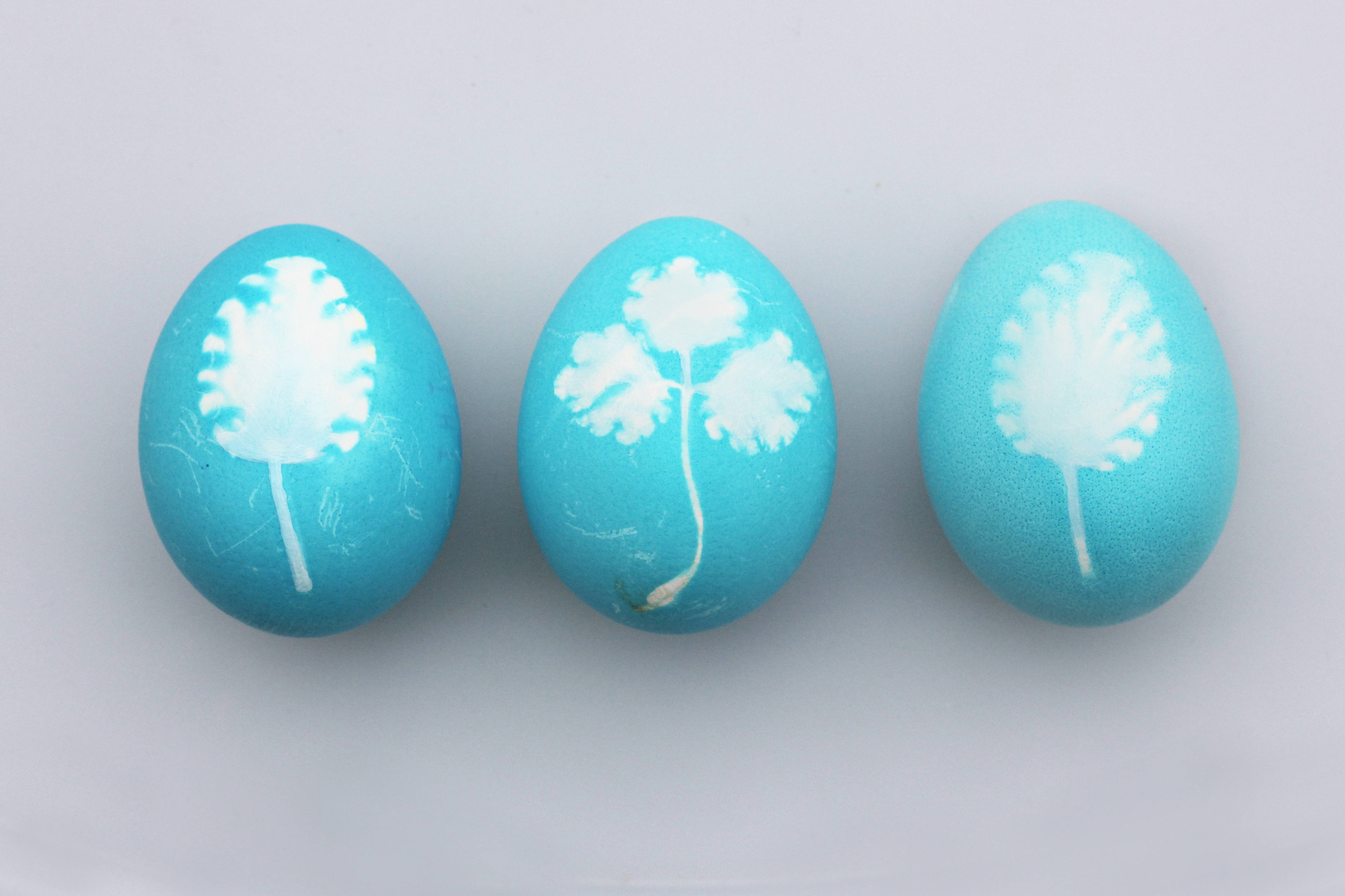 Colorful Easter eggs bring happiness to this special holiday season. Picha ya Ukuta