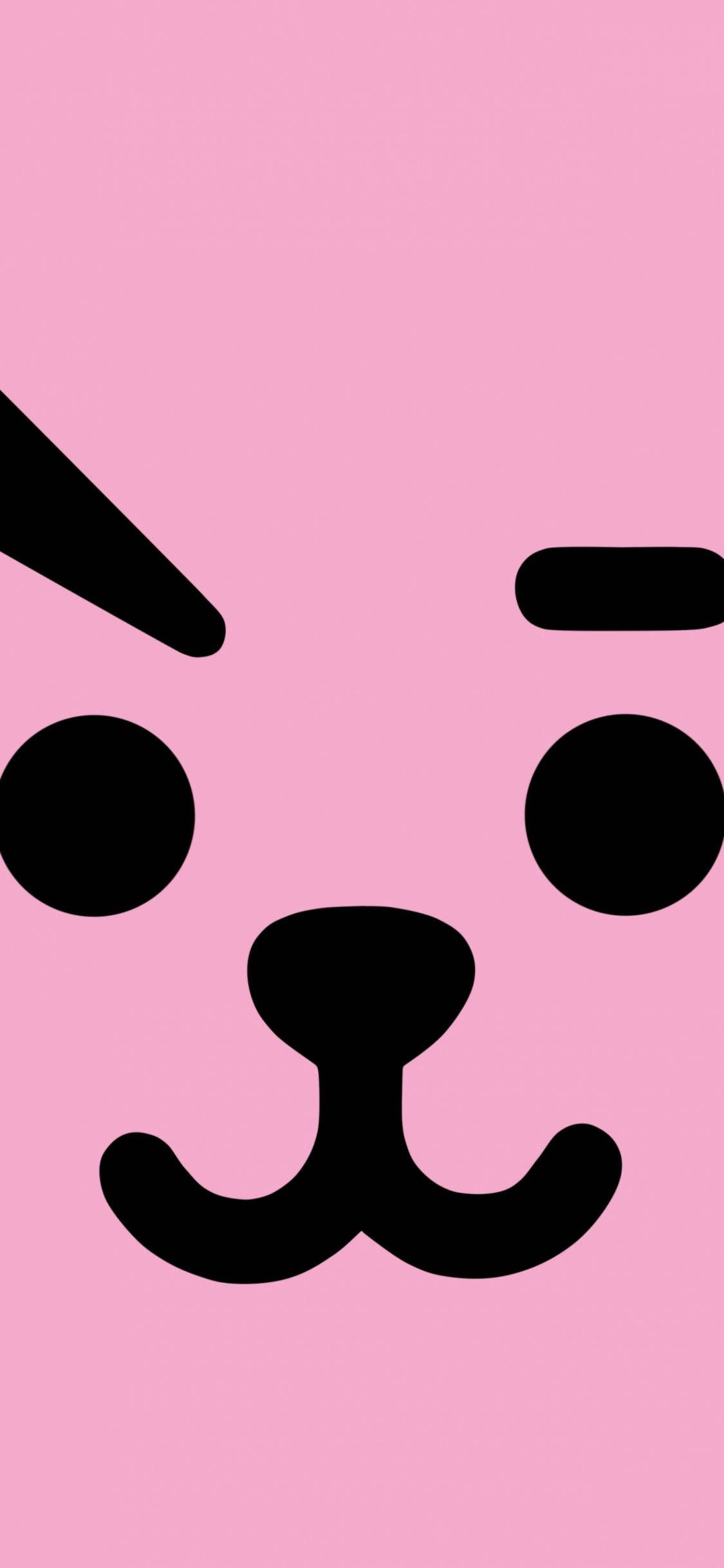 Cooky Bt21 Full Face Picha ya Ukuta