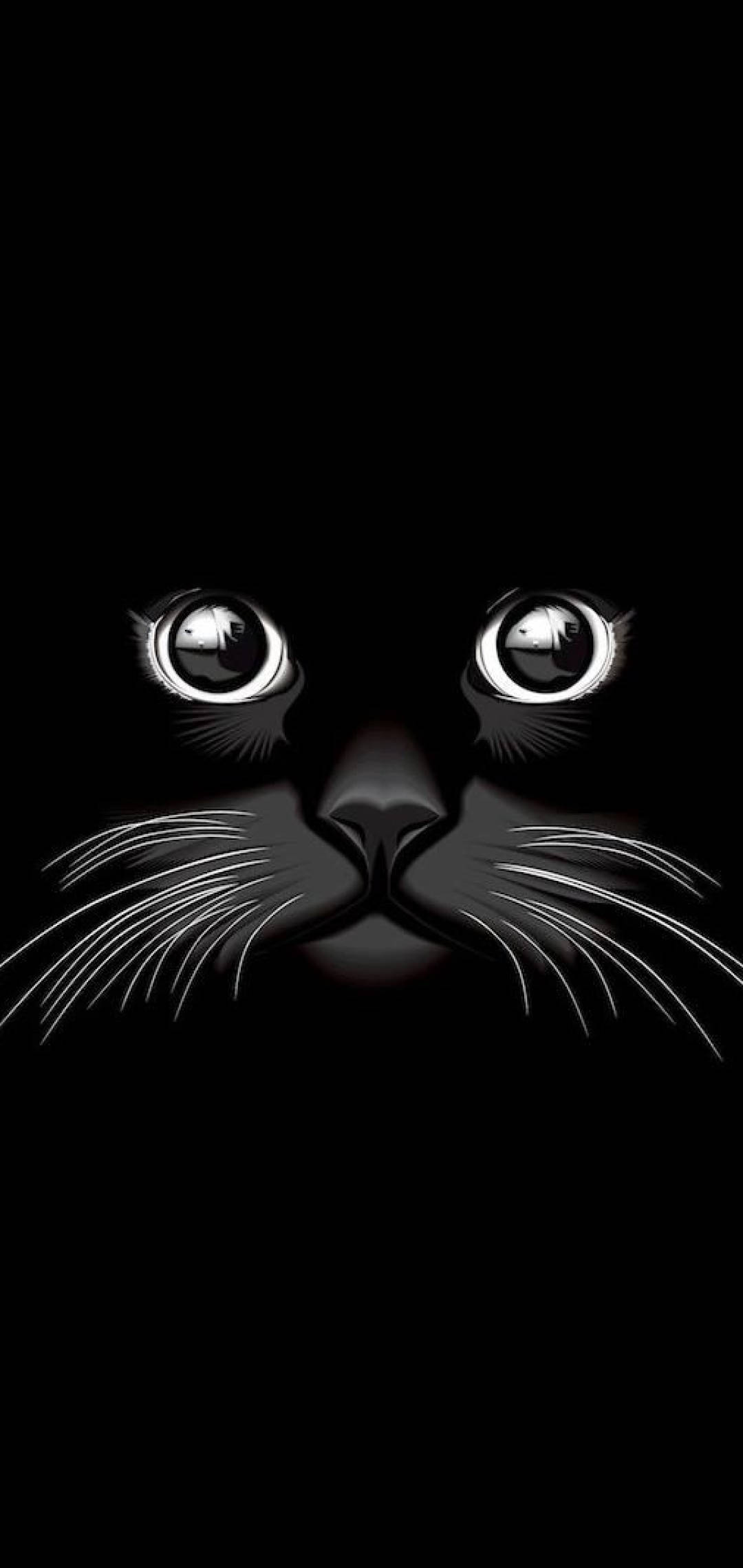 Cool Black Cat Picha ya Ukuta