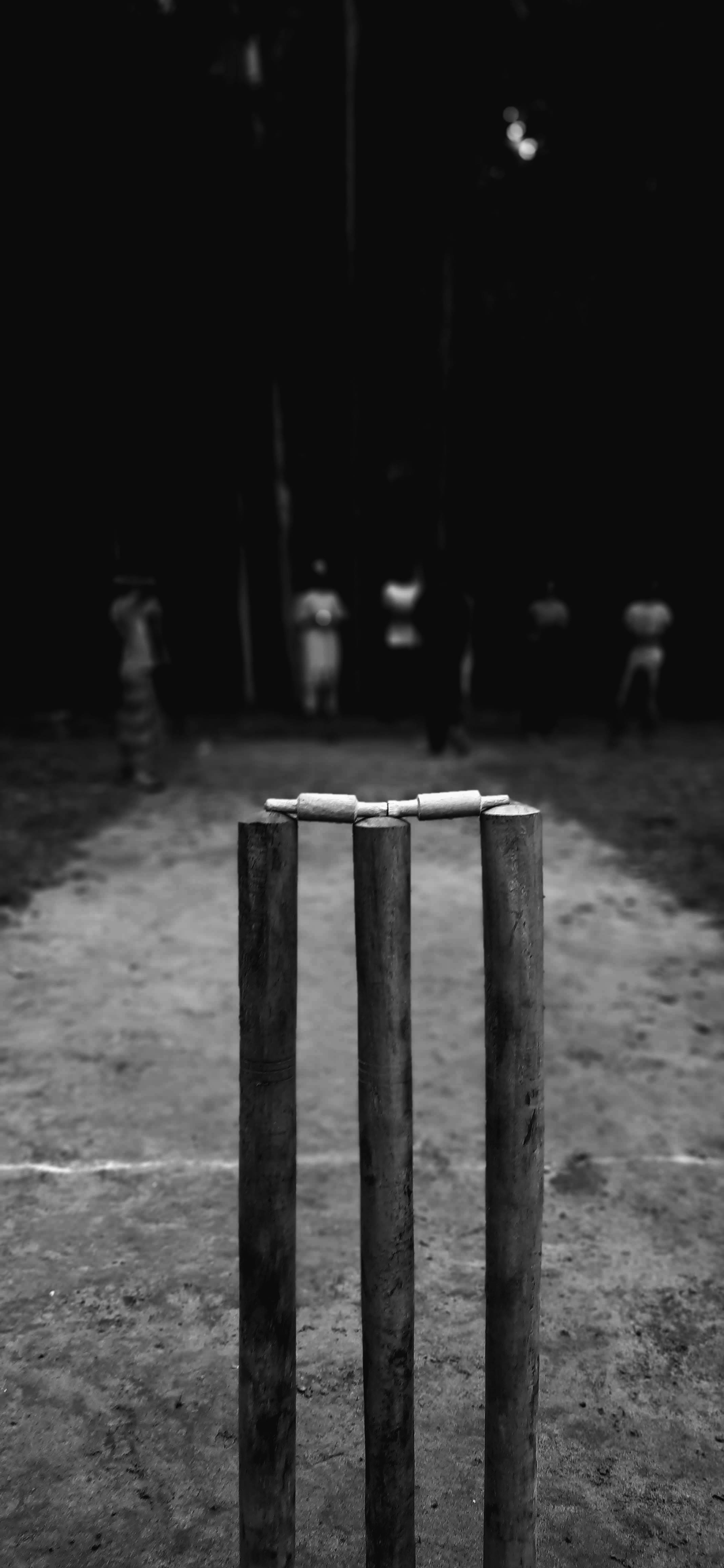 Cricket Wooden Stump In Greyscale Picha ya Ukuta