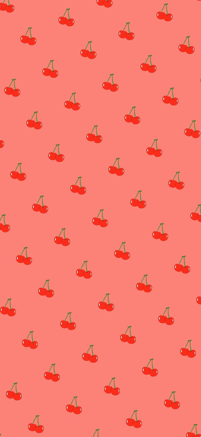Cute Cherries With Shiny Red Surface Picha ya Ukuta