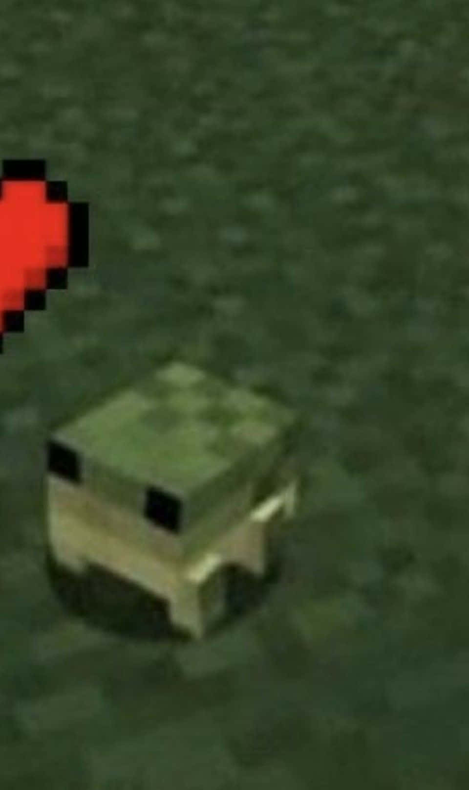 Cute Frog From Minecraft Profile Picture Picha ya Ukuta
