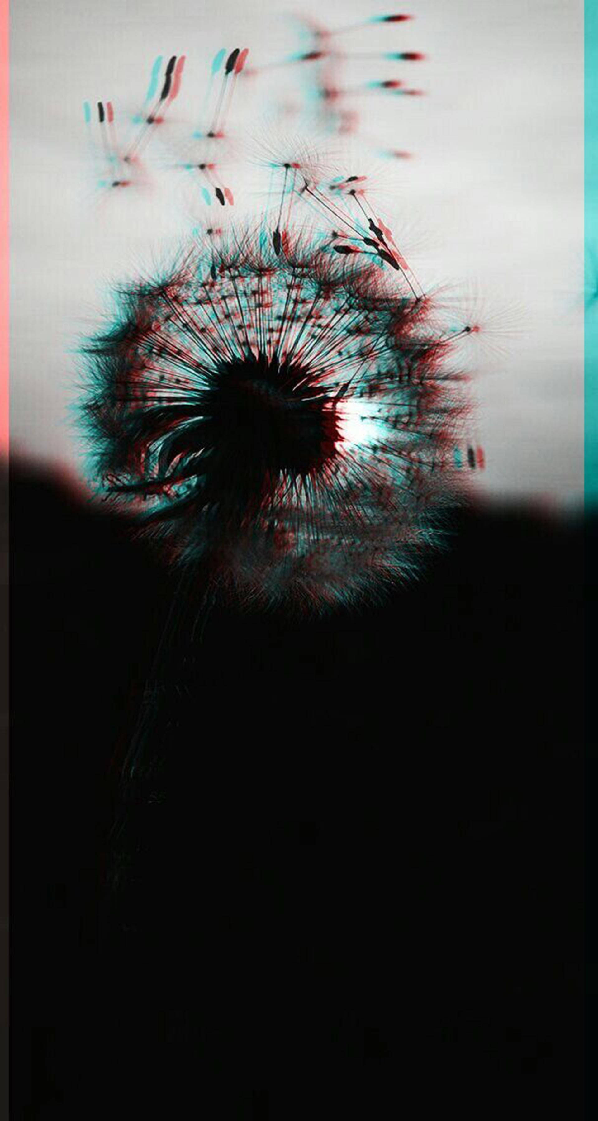Dandelion ya Kupendeza ya Giza na Mtindo wa Ajabu Picha ya Ukuta