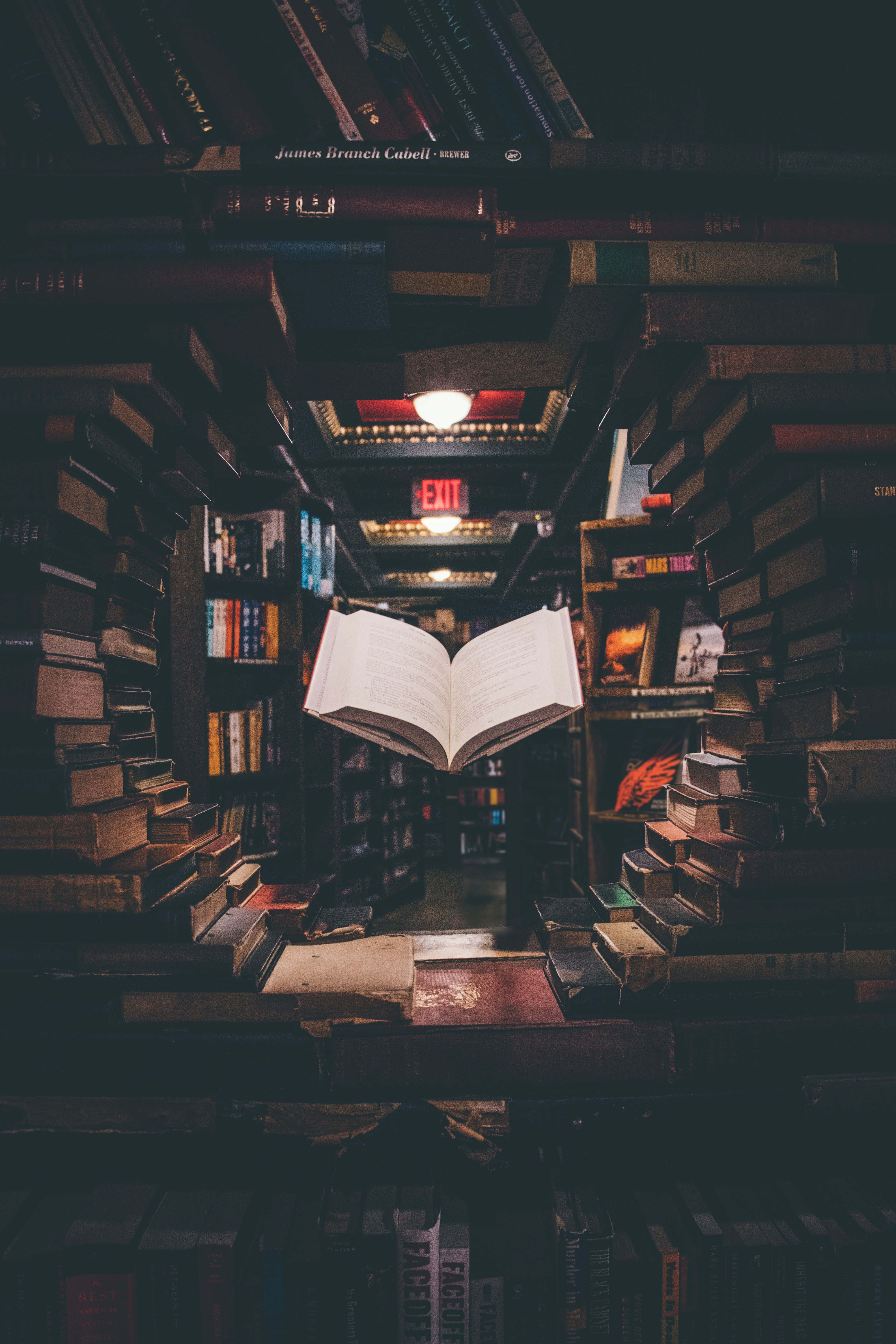 Dark Academia Aesthetic 4000 x 6000 background Picha ya Ukuta