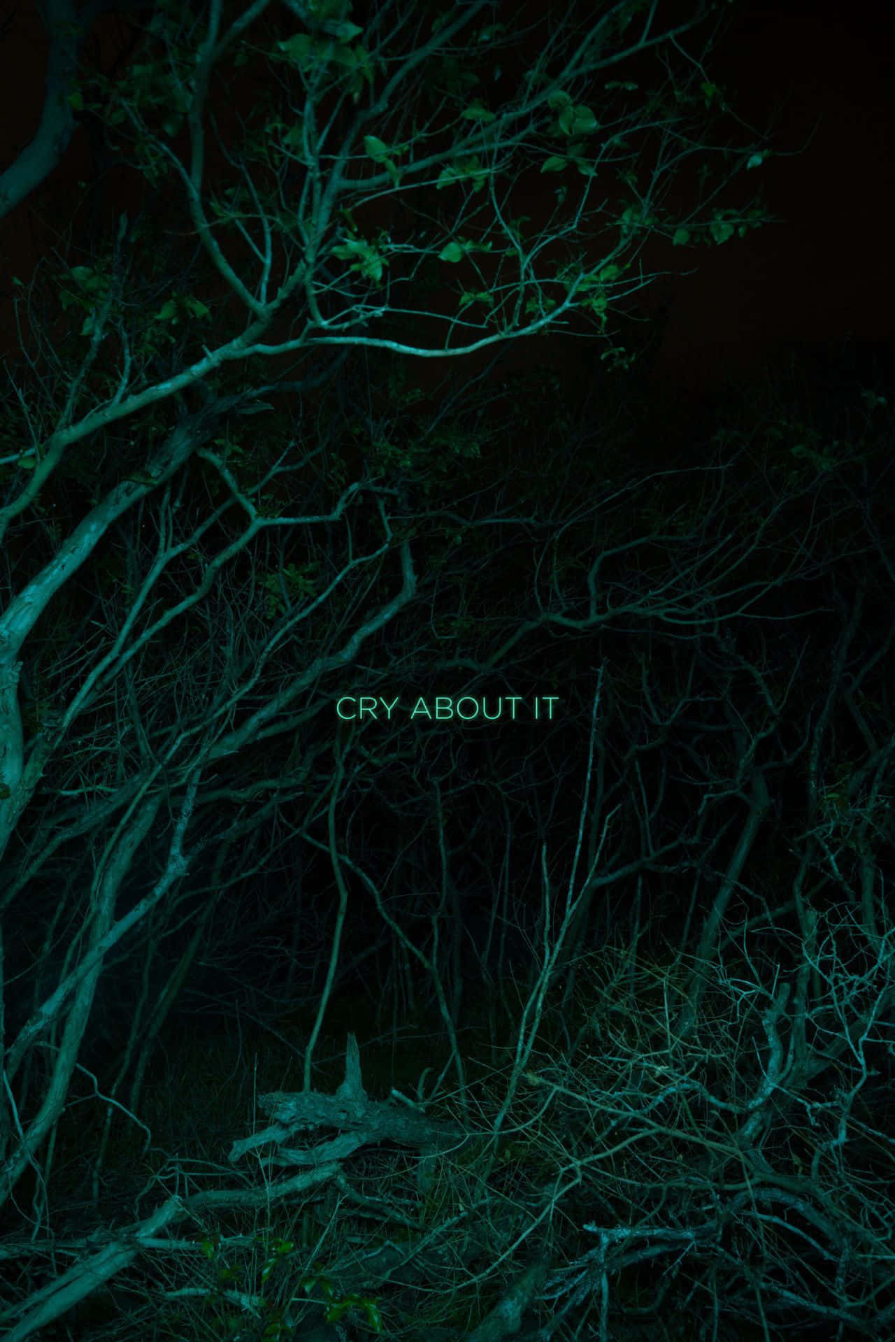 Dark Green Aesthetic Forest Flutter: Picha ya Ukuta