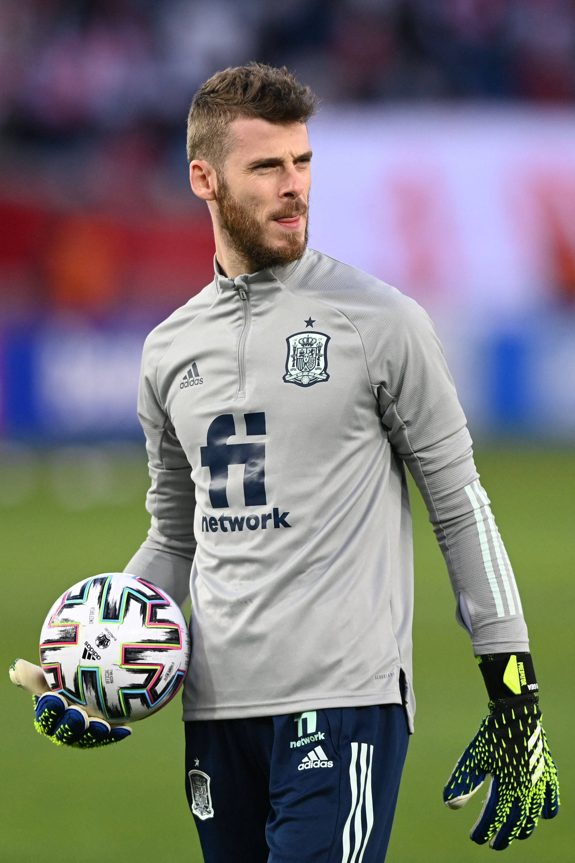 David De Gea Gray Spanish Kit Picha ya Ukuta