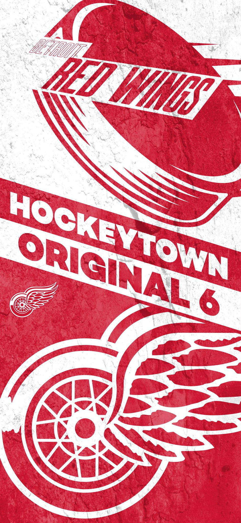 Detroit Red Wings Hockey Town Picha ya Ukuta