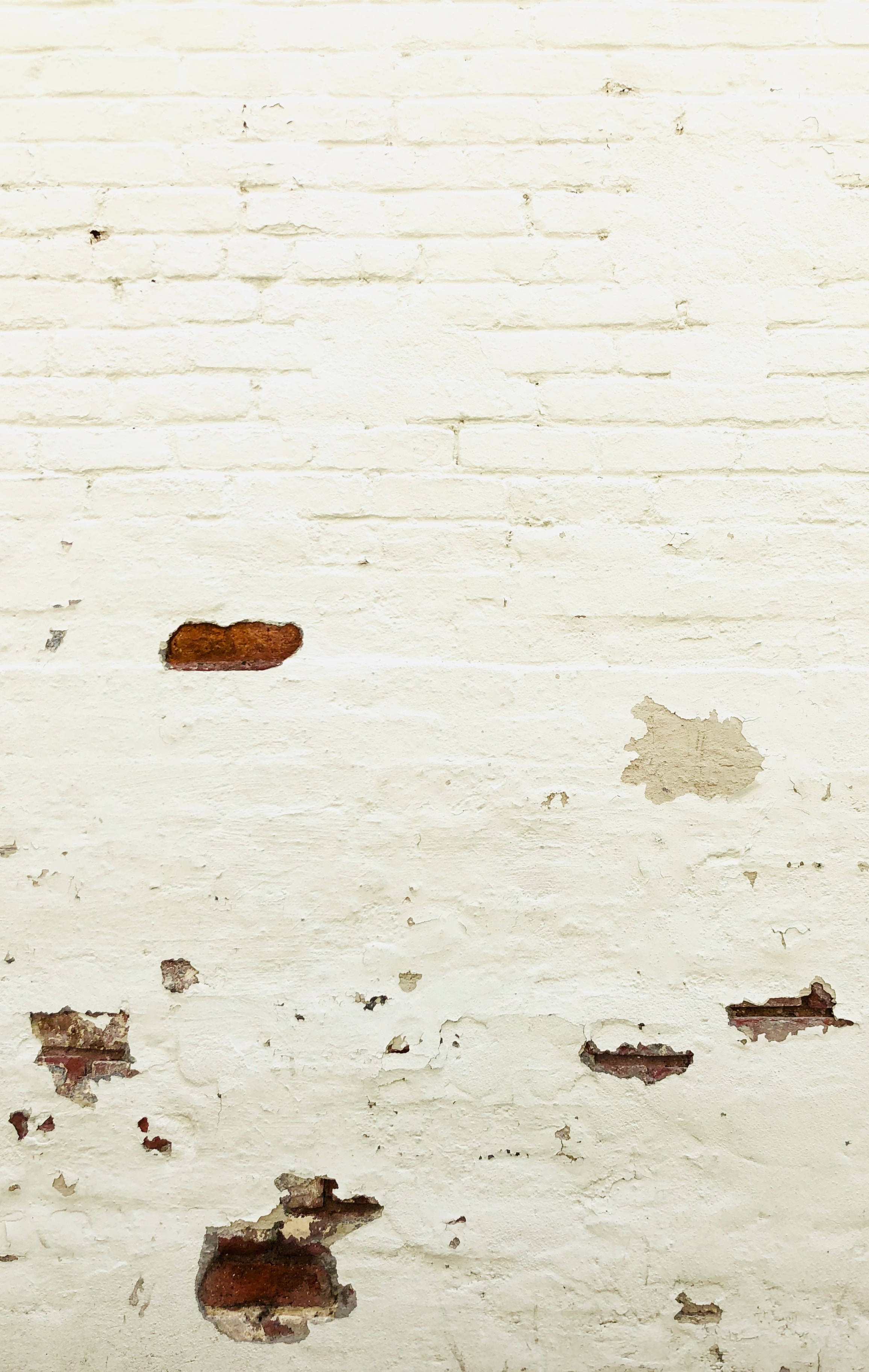 Distressed White Brick Wall Picha ya Ukuta