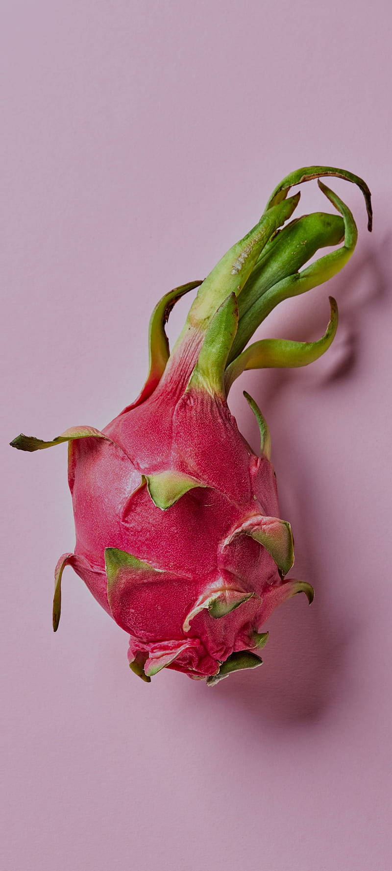 Dragonfruit Fruit Photography Pastel Pink Background Picha ya Ukuta