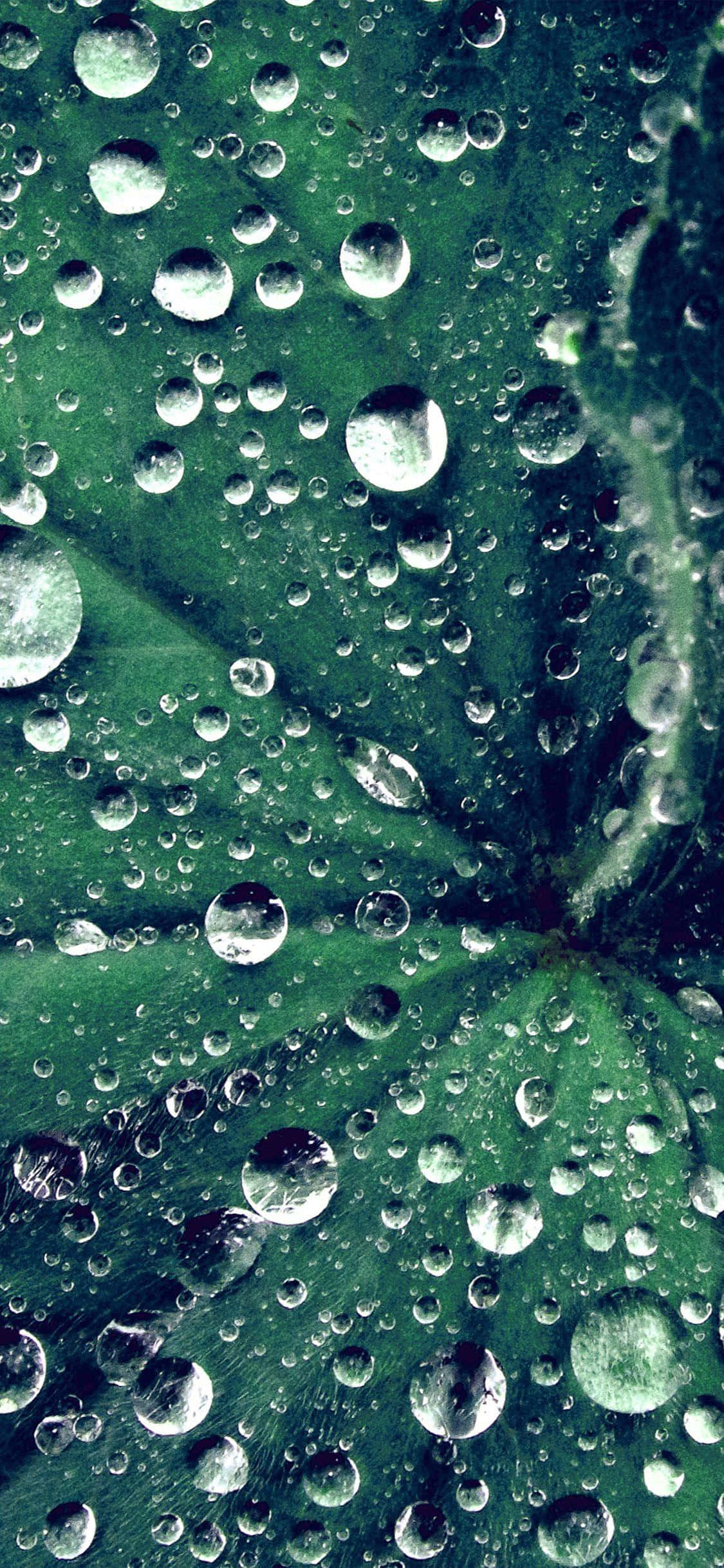 Droplet moja la maji linaloshini Picha ya Ukuta