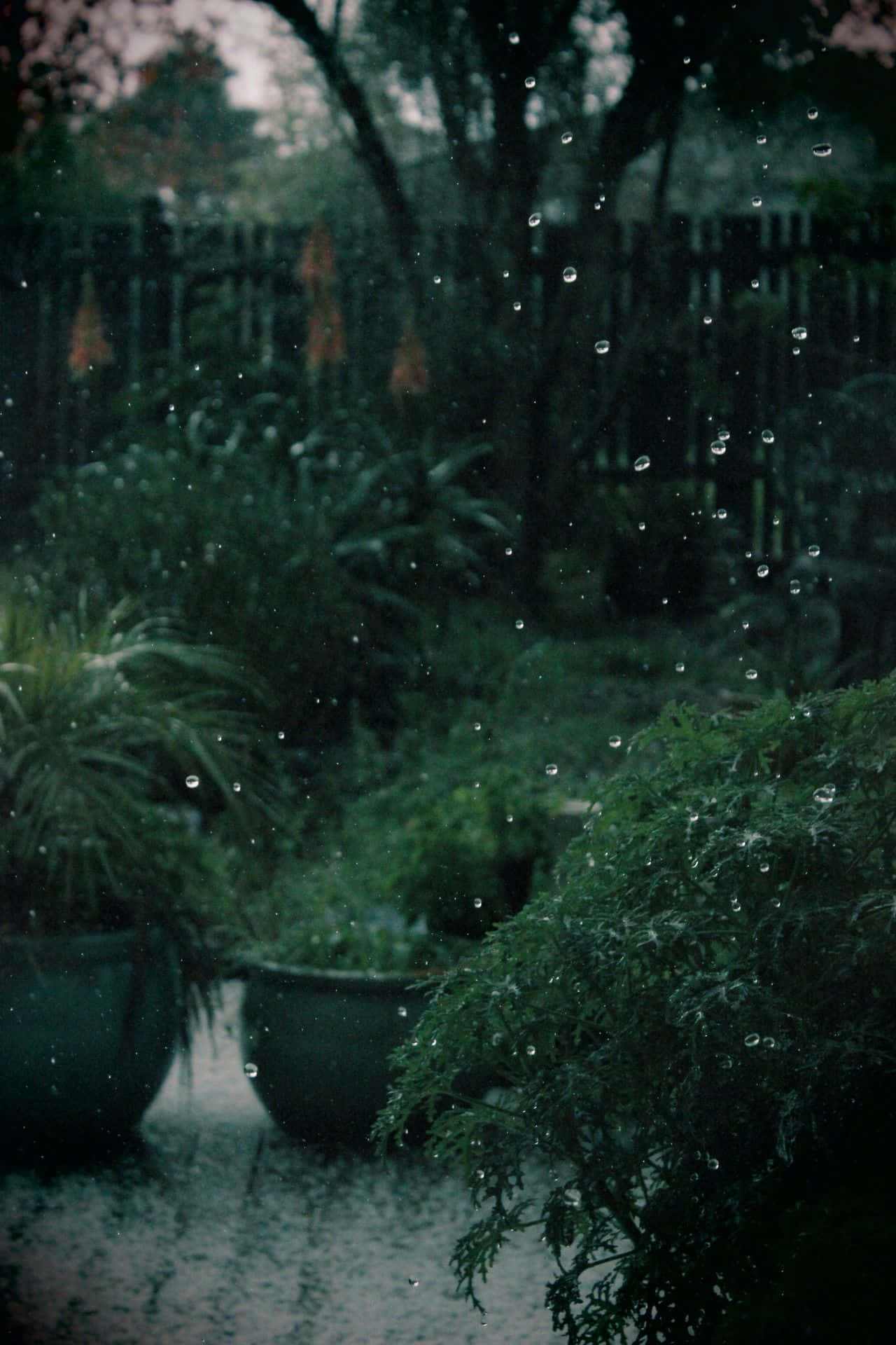 Enchanting Dark Green Aesthetic Background Picha ya Ukuta
