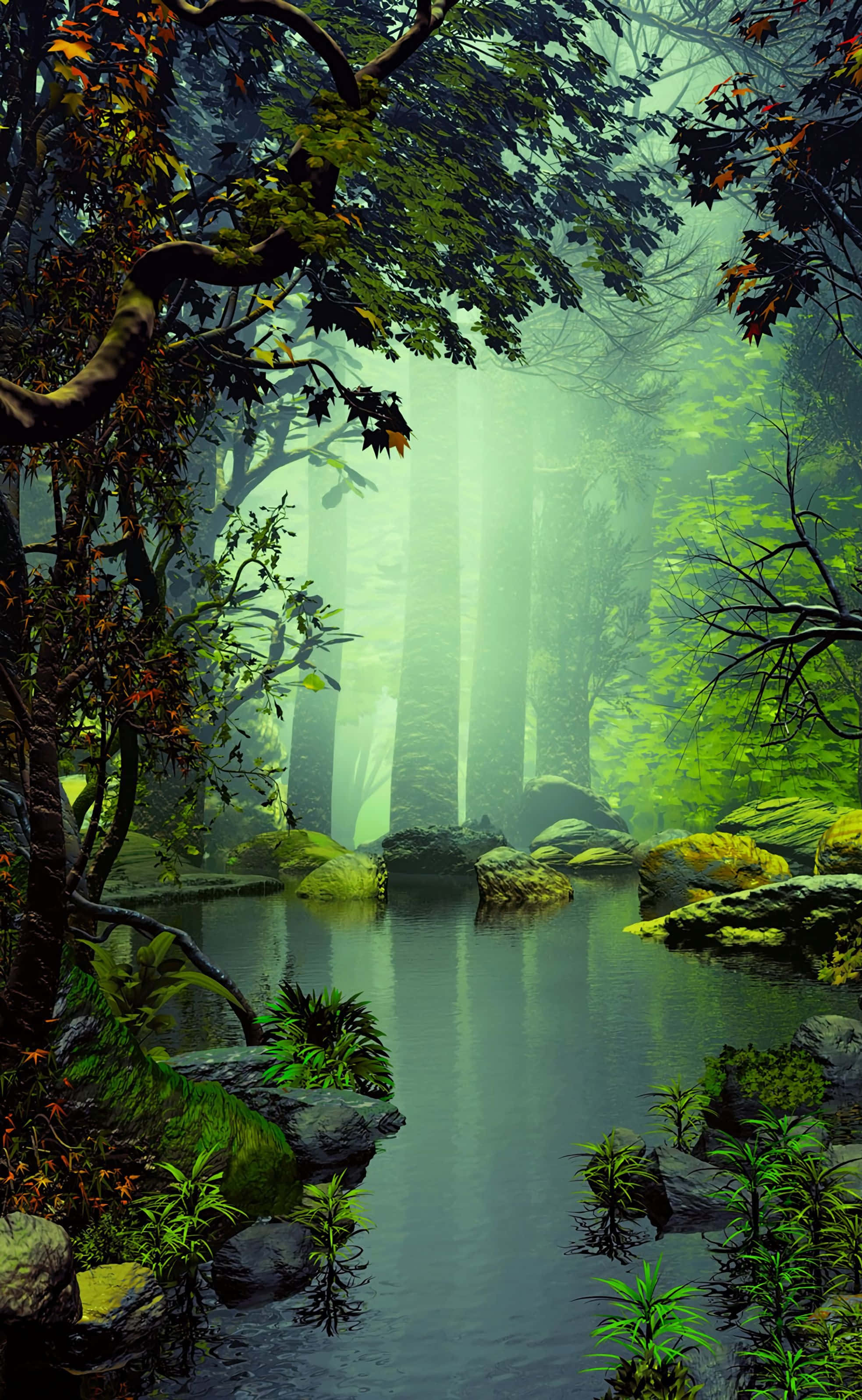Enchanting Forest Nature Android HD Picha ya Ukuta