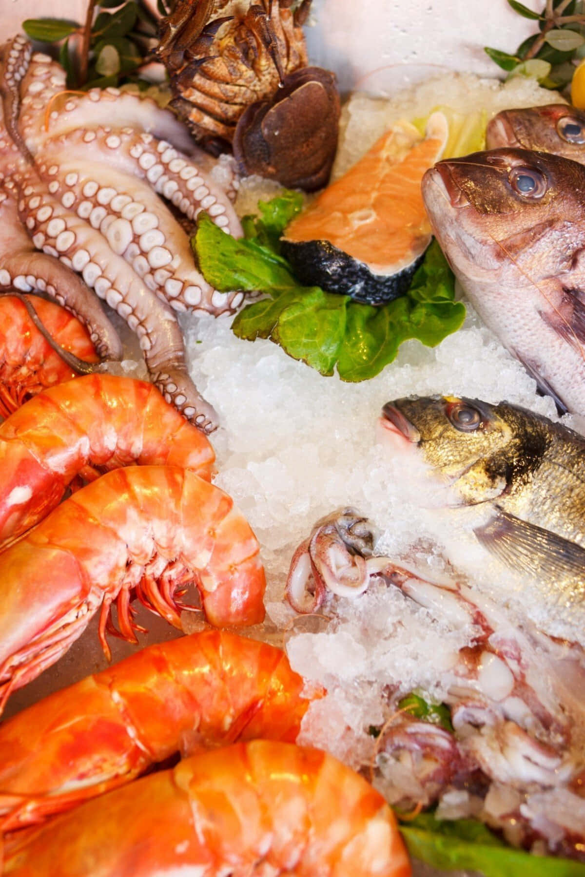 Enjoy a Fresh Seafood Dish Picha ya Ukuta