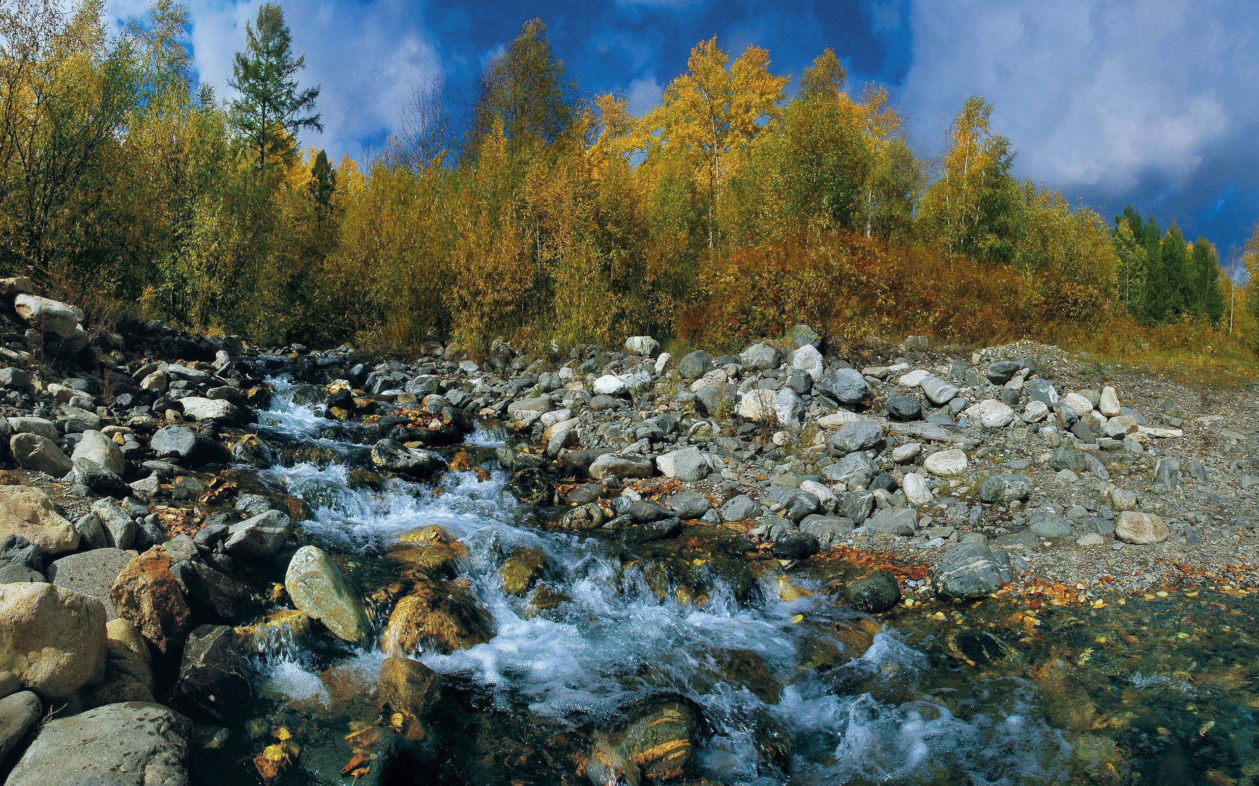 Enjoy a relaxing summer day by the river! Picha ya Ukuta