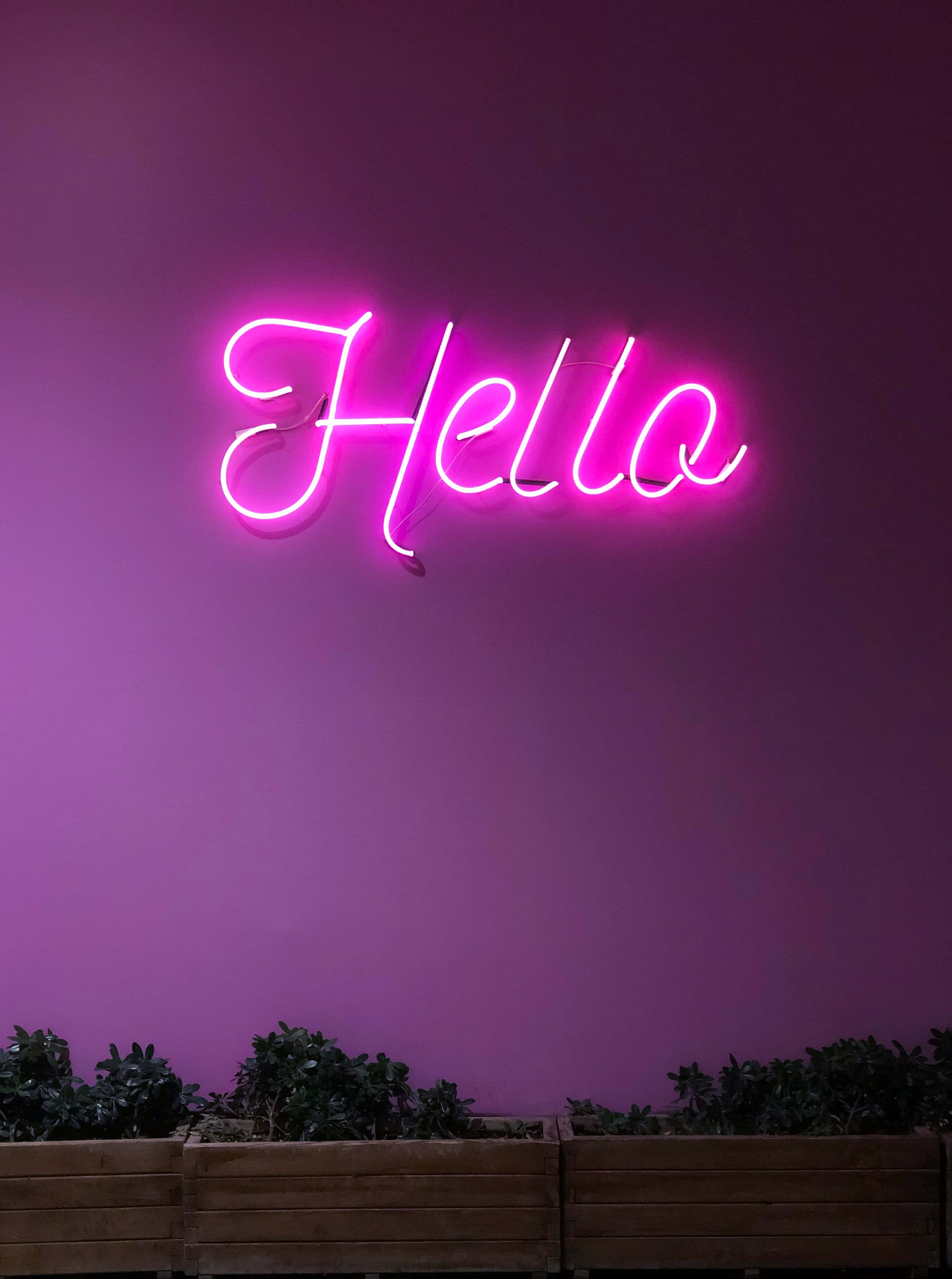 "Enjoy a Uniquely Colorful Experience with Purple Neon" Picha ya Ukuta