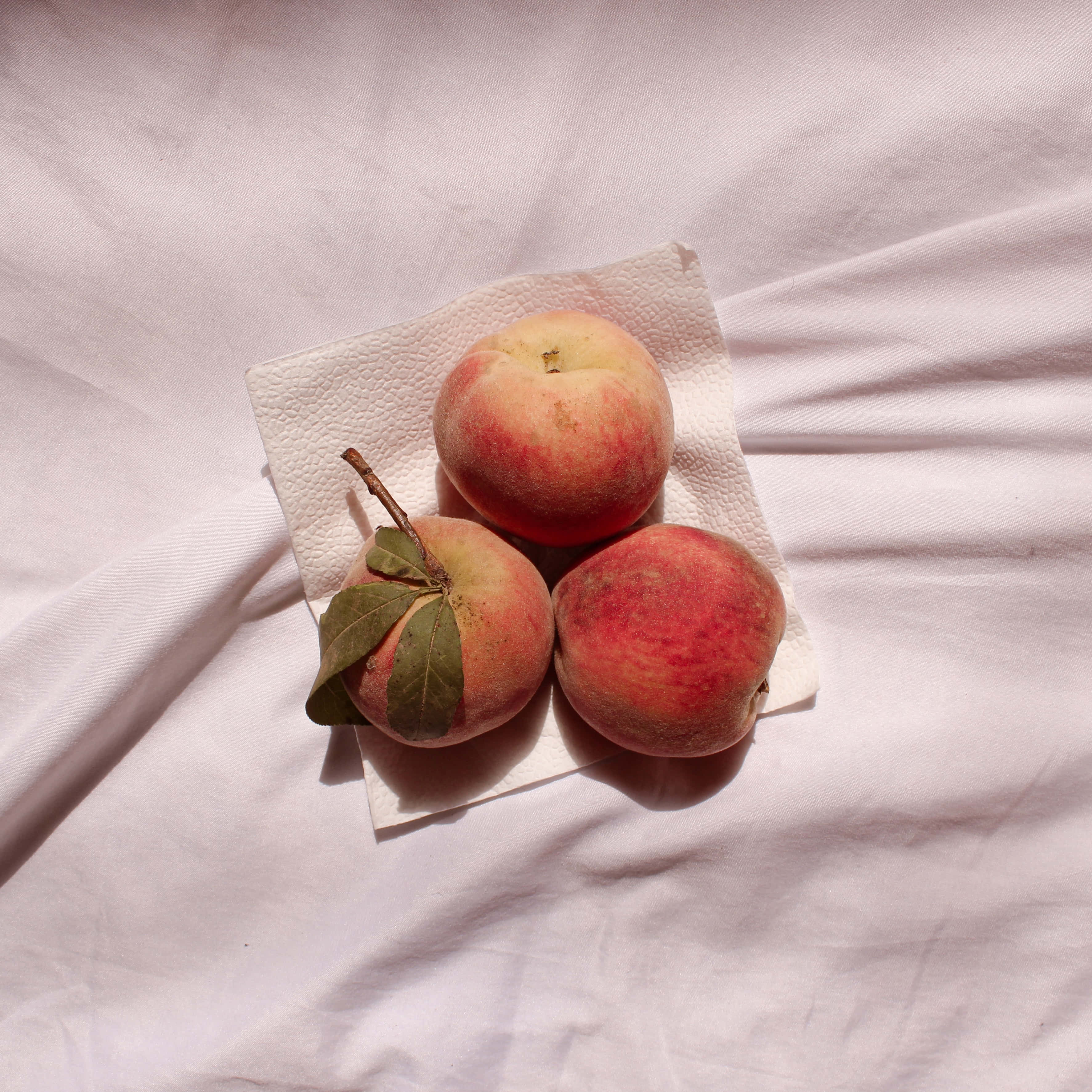 Enjoy ripe juicy peaches anytime! Picha ya Ukuta